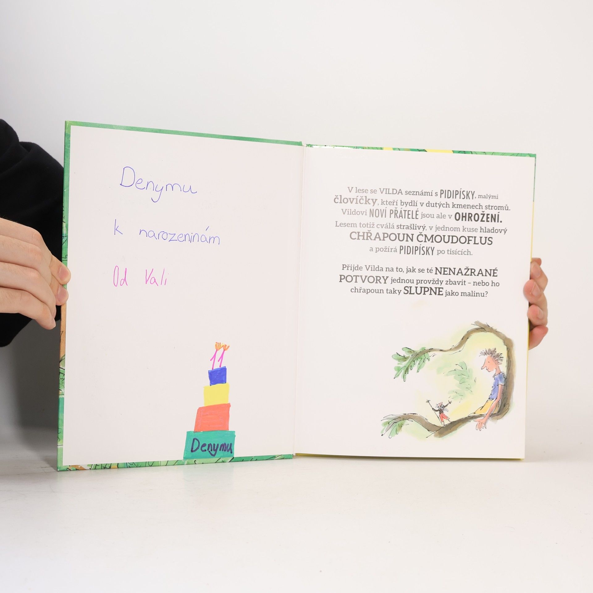 Roald Dahl Vilda a pidipískové