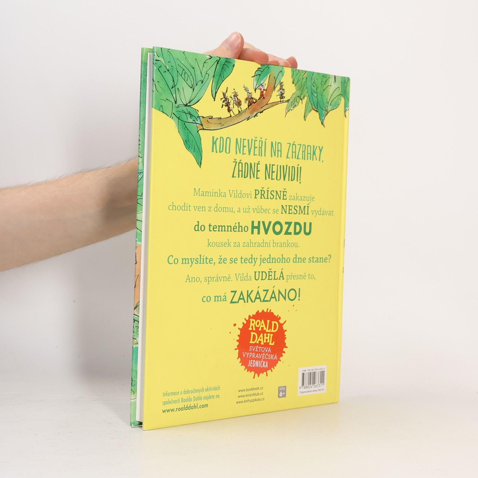 Roald Dahl Vilda a pidipískové