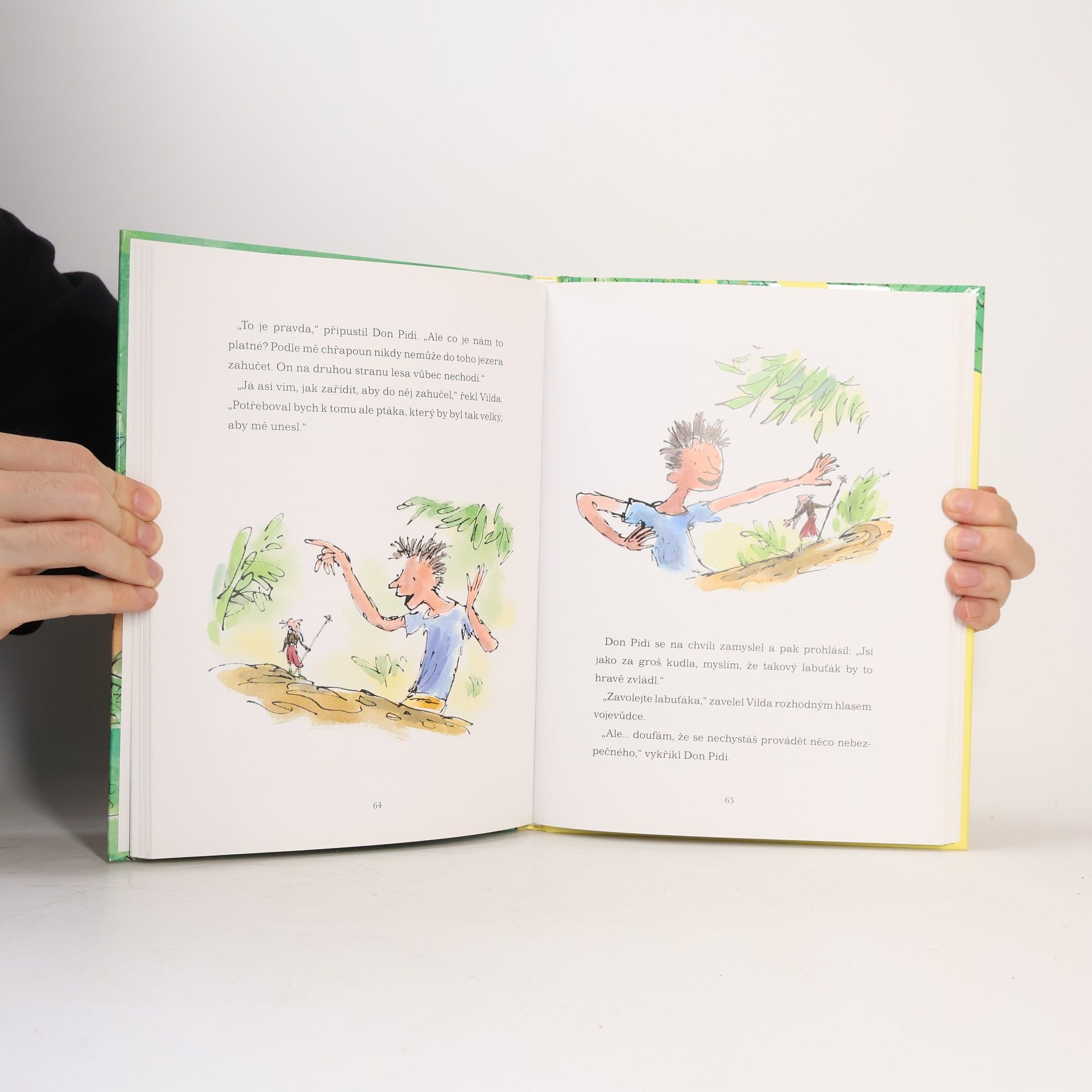 Roald Dahl Vilda a pidipískové
