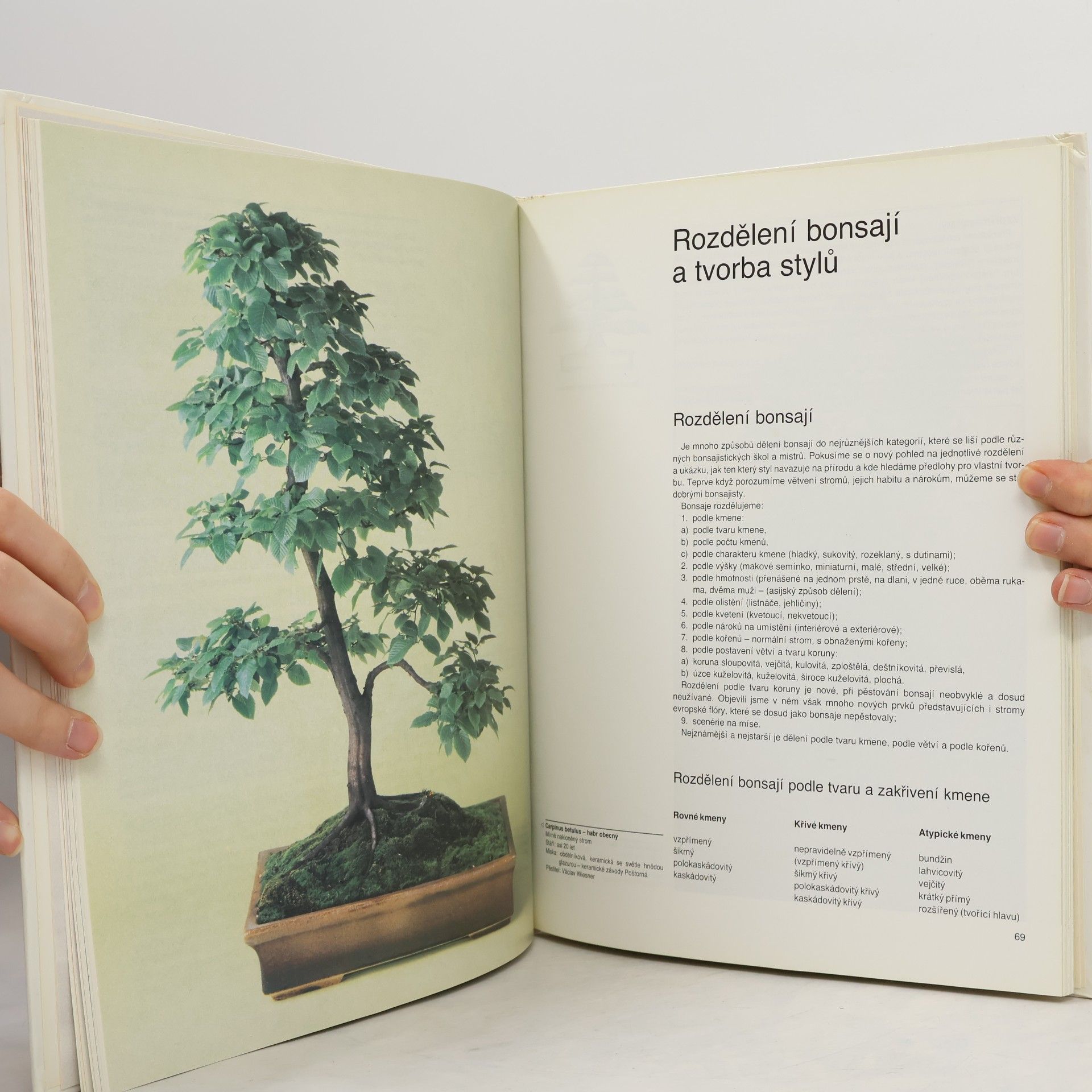 Petr Herynek Bonsai