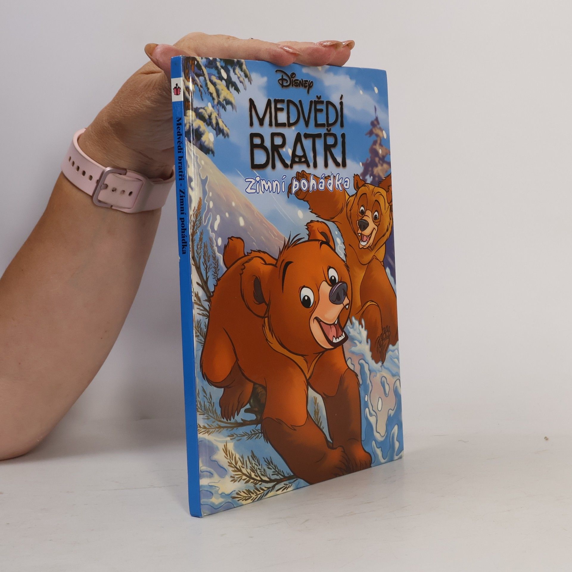 Šárka Kadlecová Medvědí bratři. Zimní pohádka