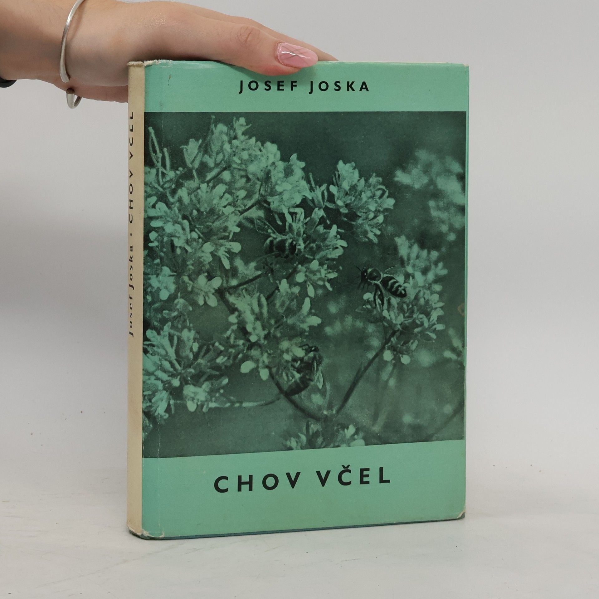 Kolektiv autorů Chov včel