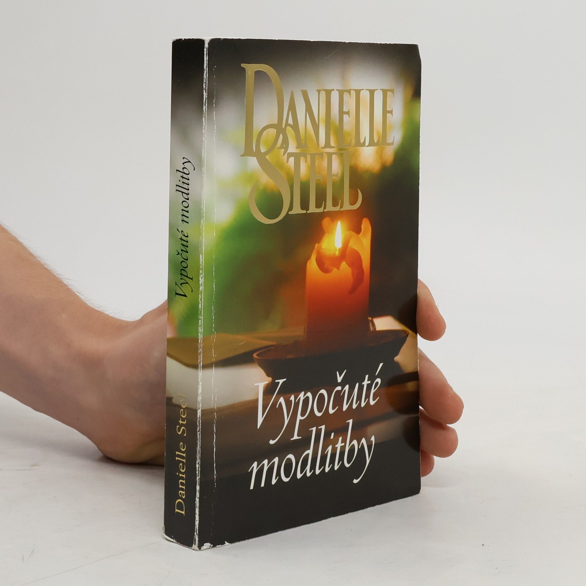 Danielle Steel Vypočuté modlitby