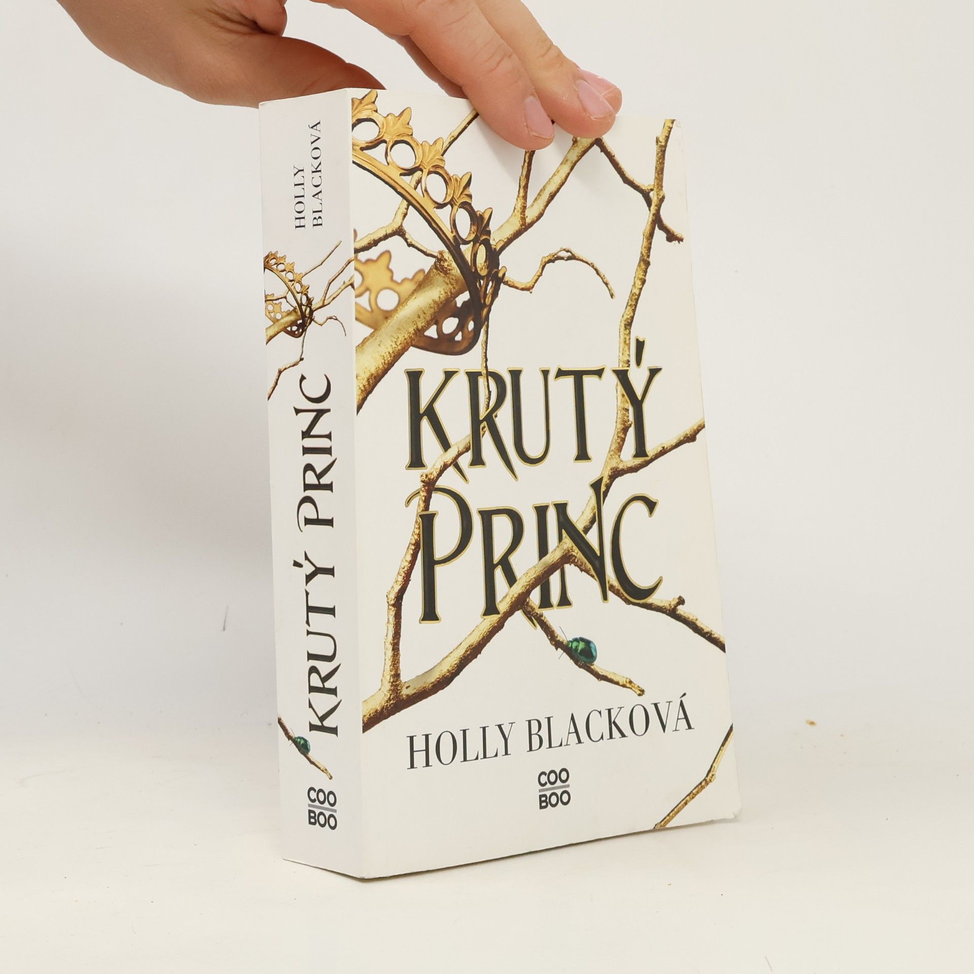 Holly Black Krutý princ