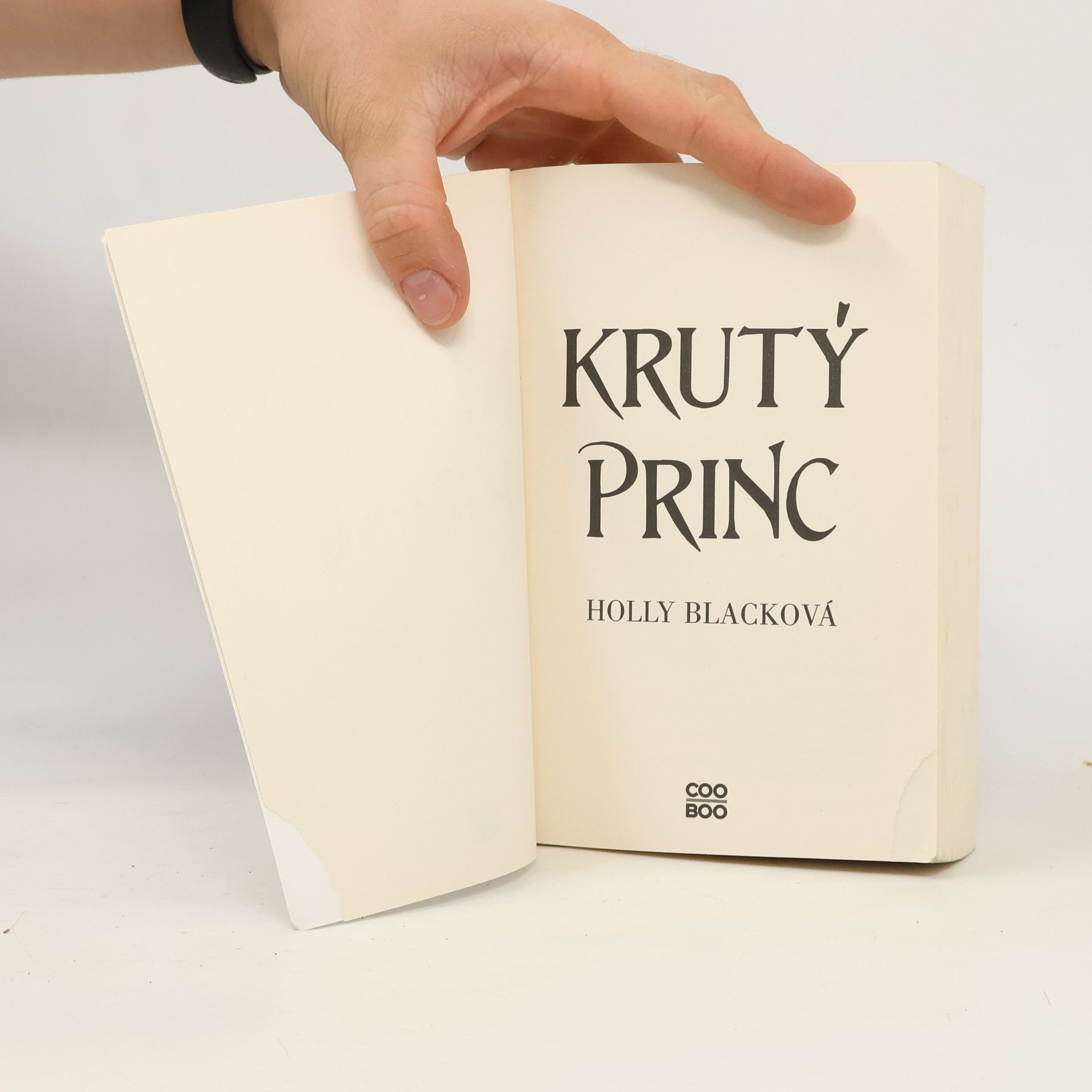 Holly Black Krutý princ