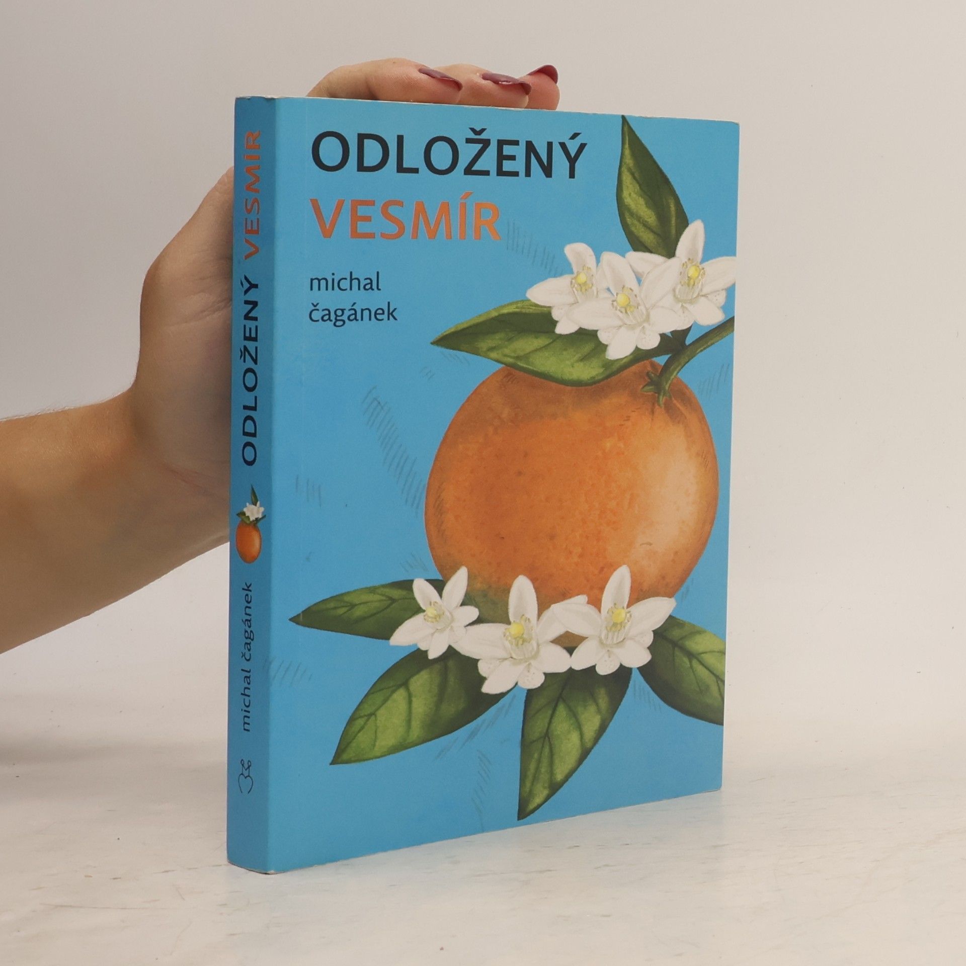 Odložený Vesmír
