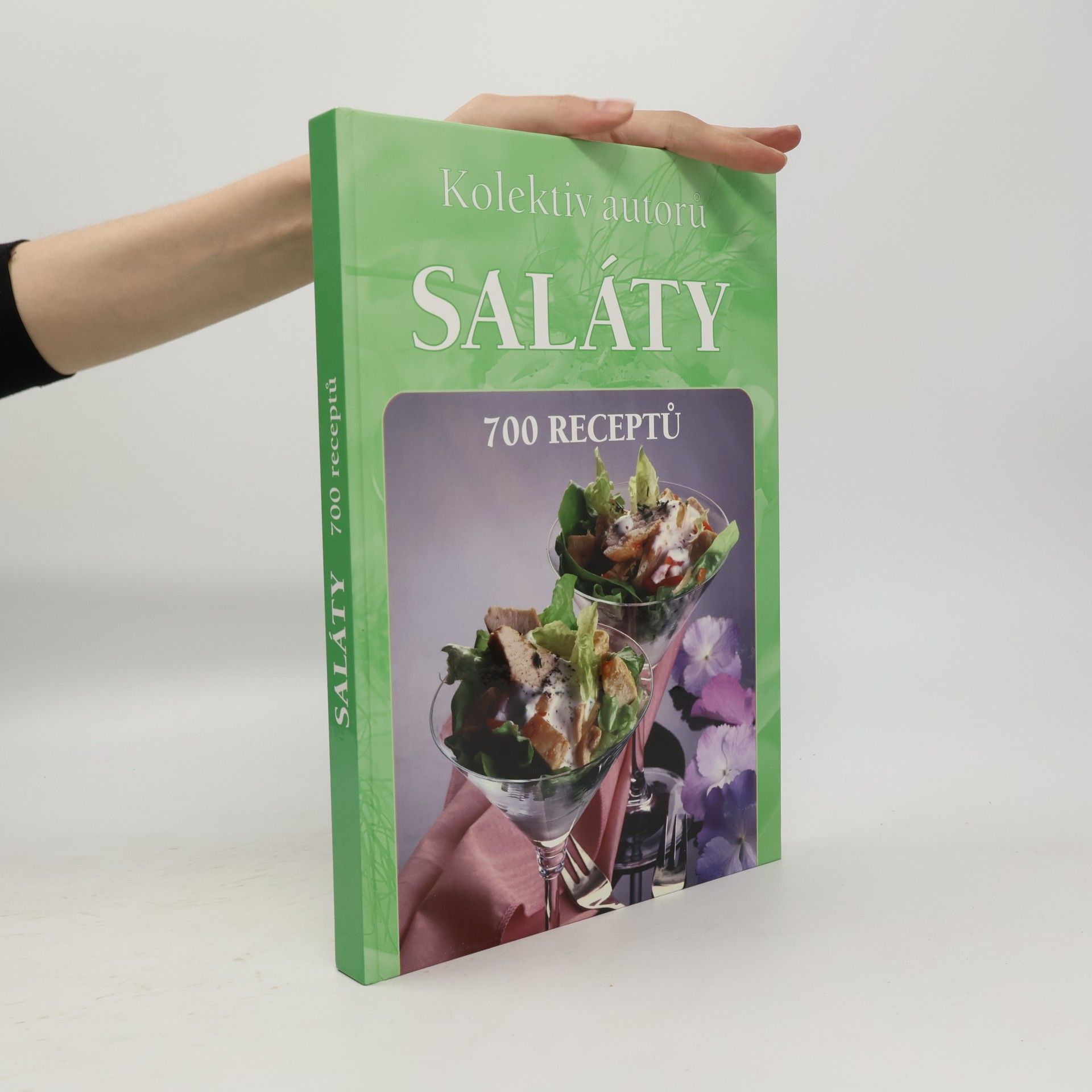 Autorenkollektiv Saláty. 700 receptů