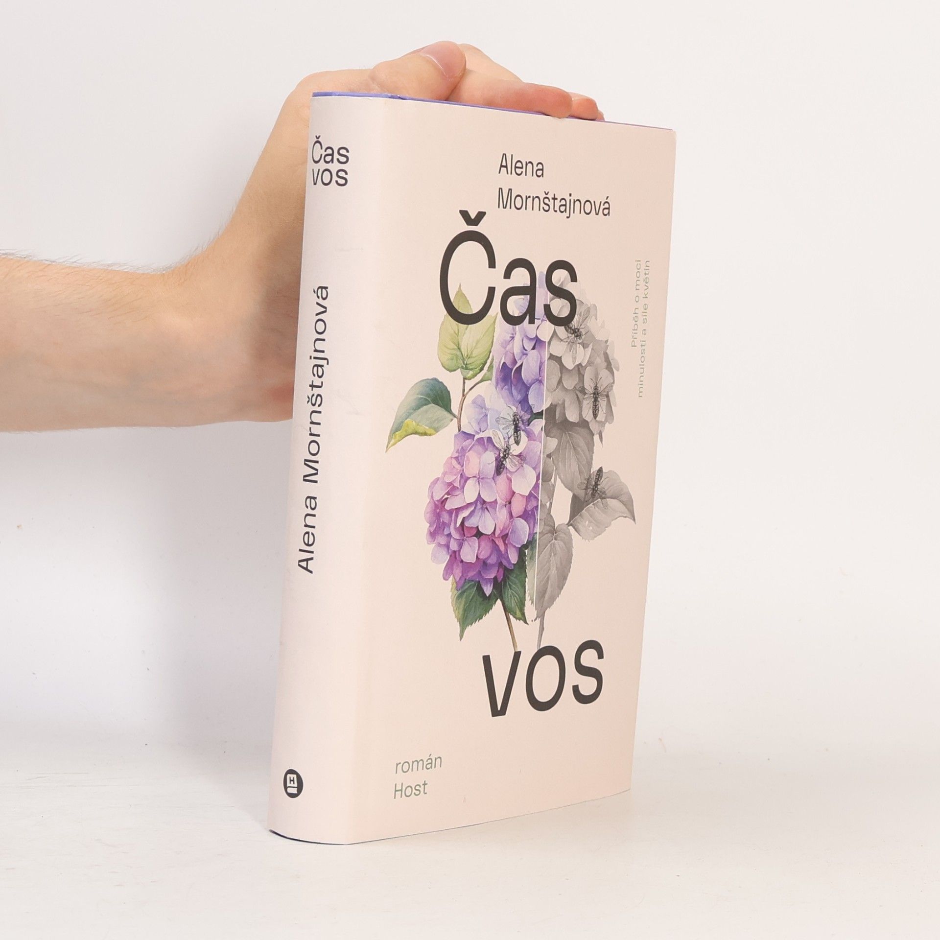 Alena Mornštajnová Čas vos