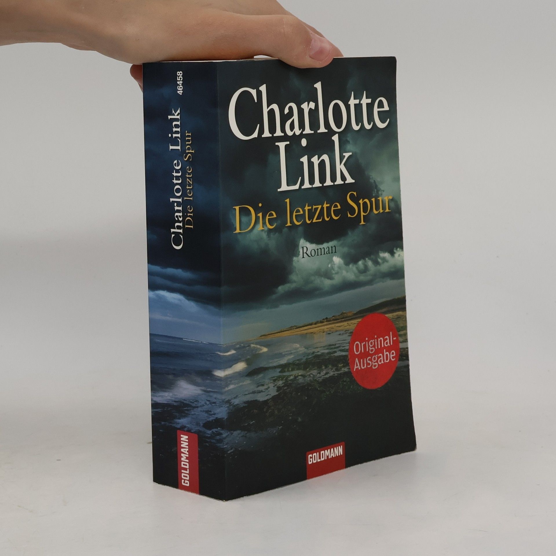 Charlotte Link Die letzte Spur