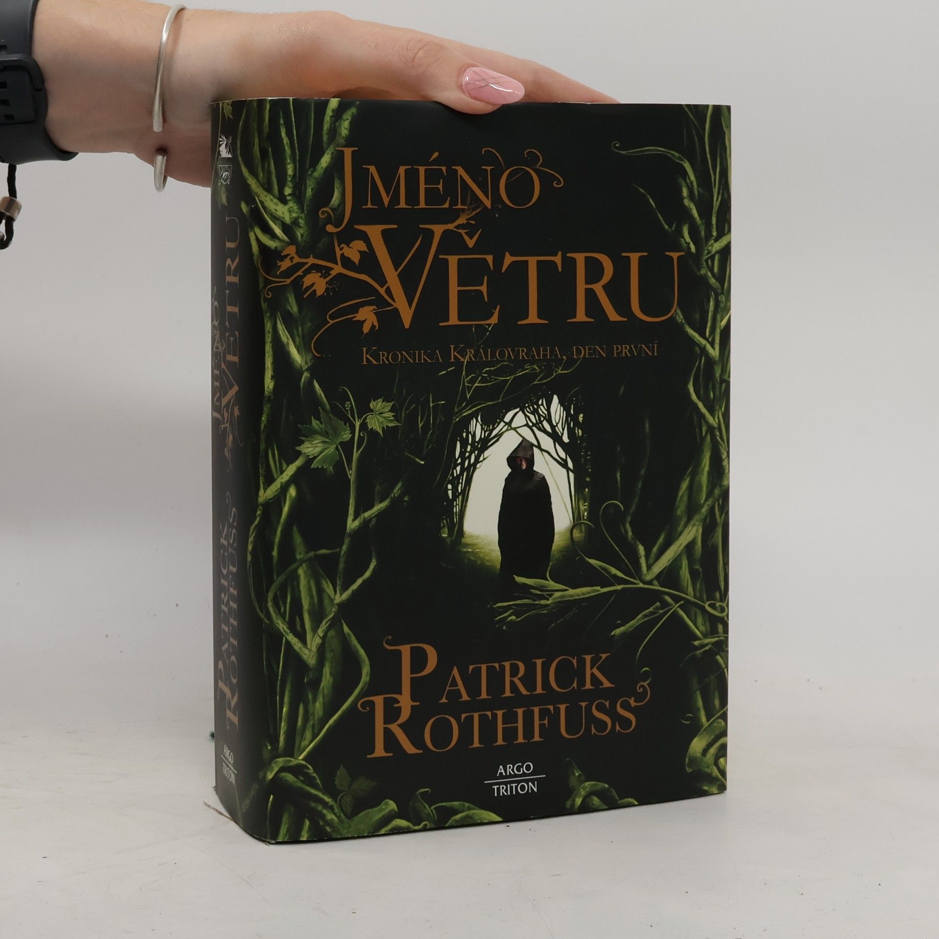 Patrick Rothfuss Jméno větru