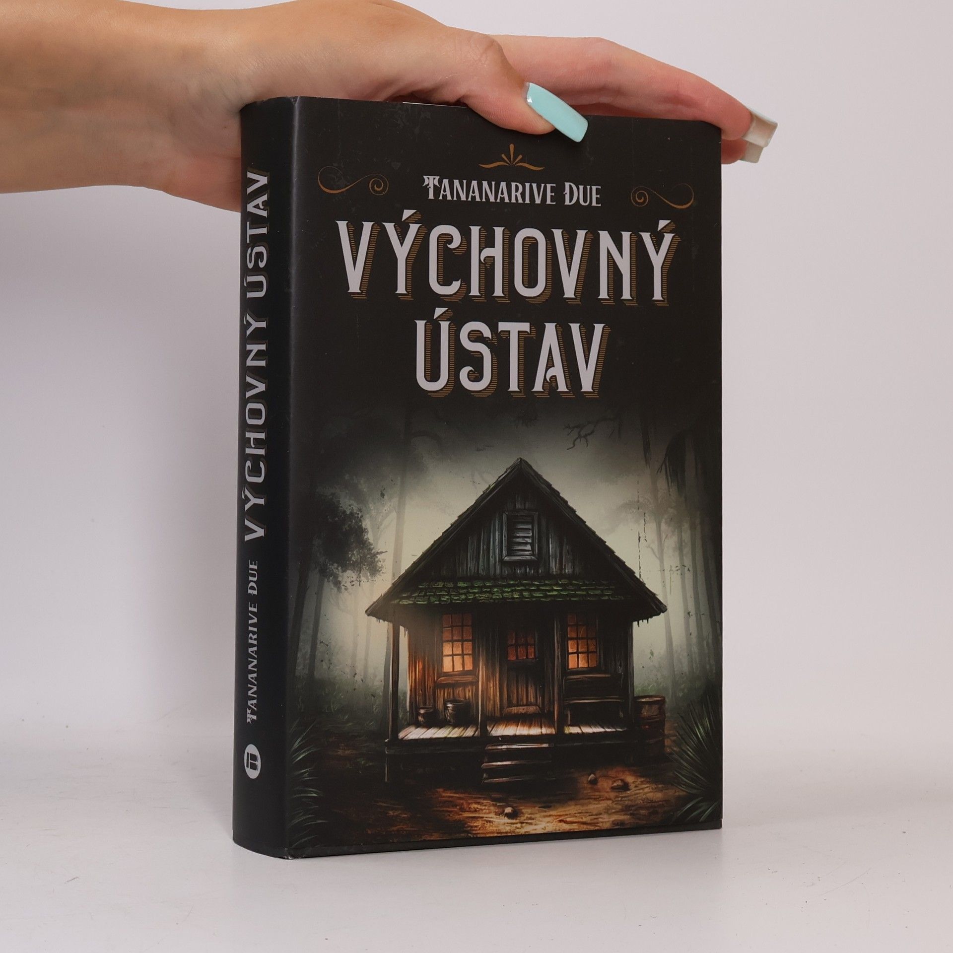Výchovný ústav