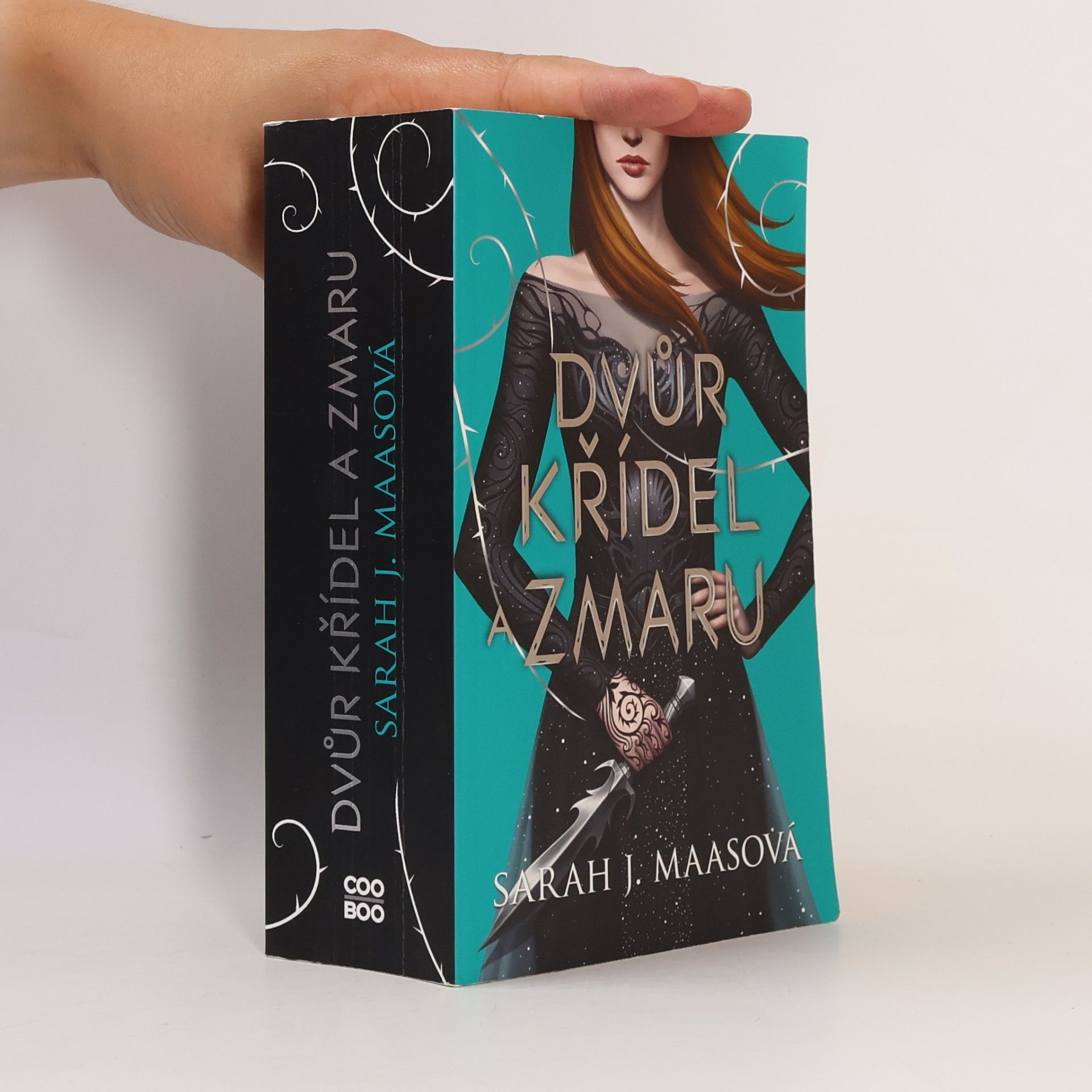 Sarah J. Maasová Dvůr křídel a zmaru