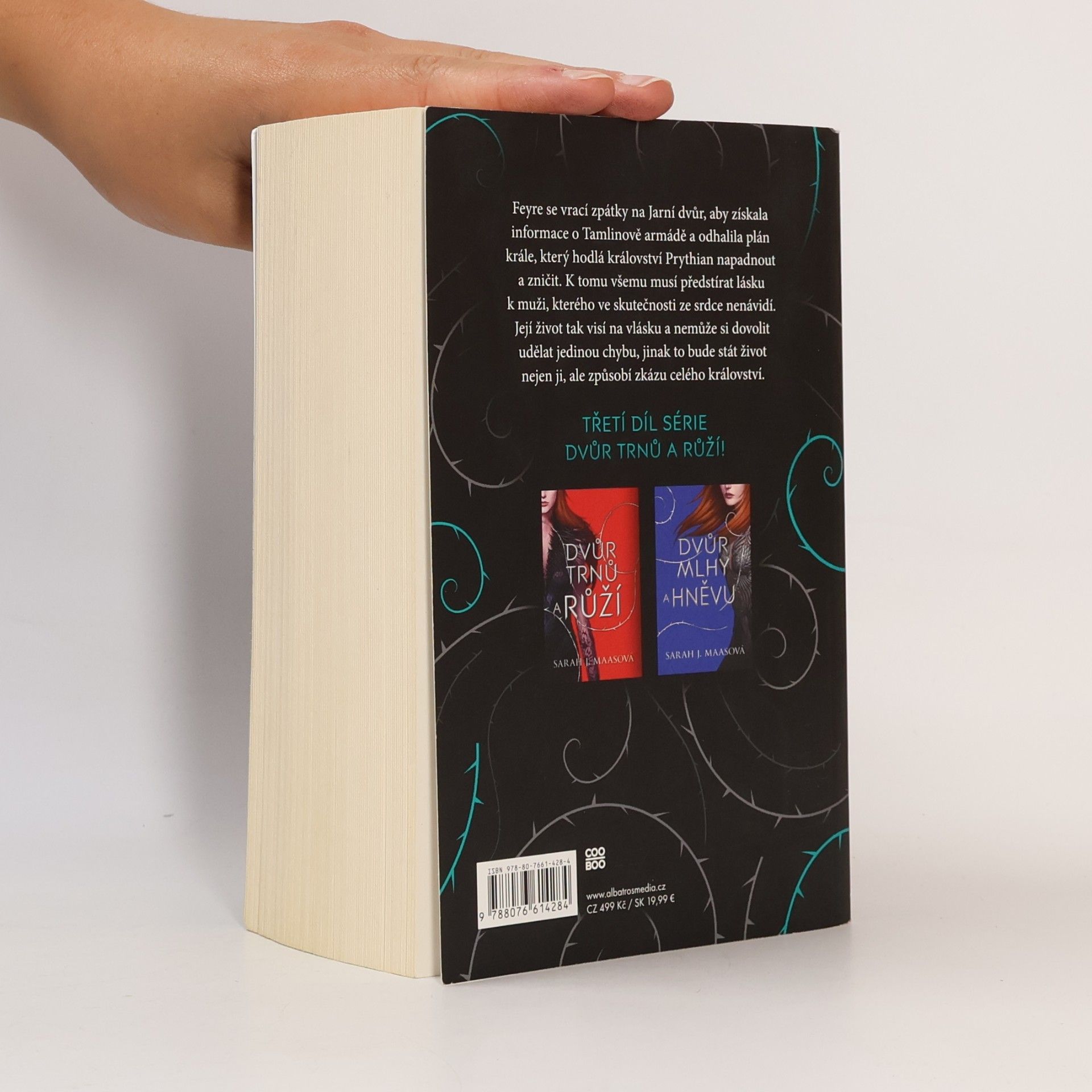 Sarah J. Maas Dvůr křídel a zmaru