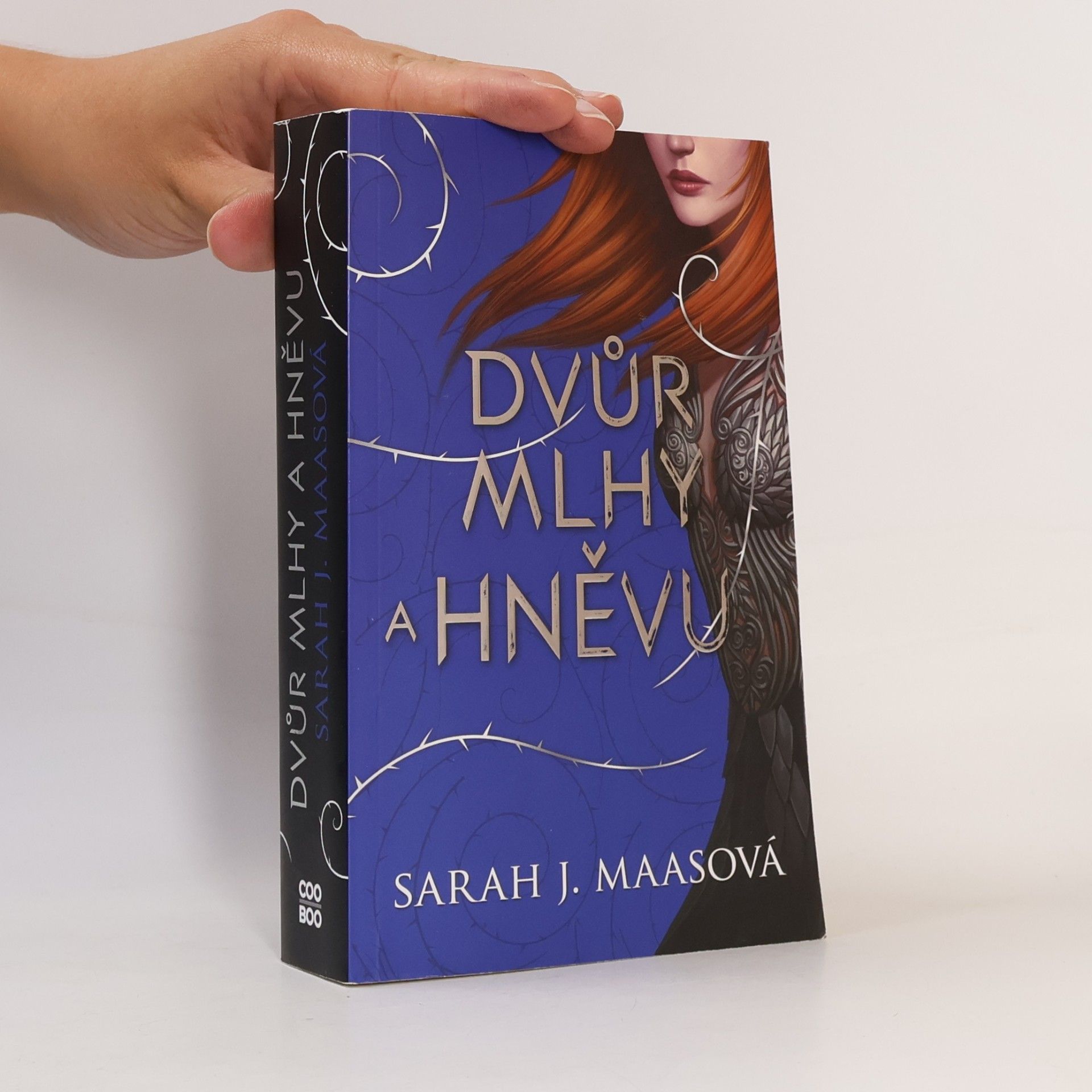 Sarah J. Maas Dvůr mlhy a hněvu