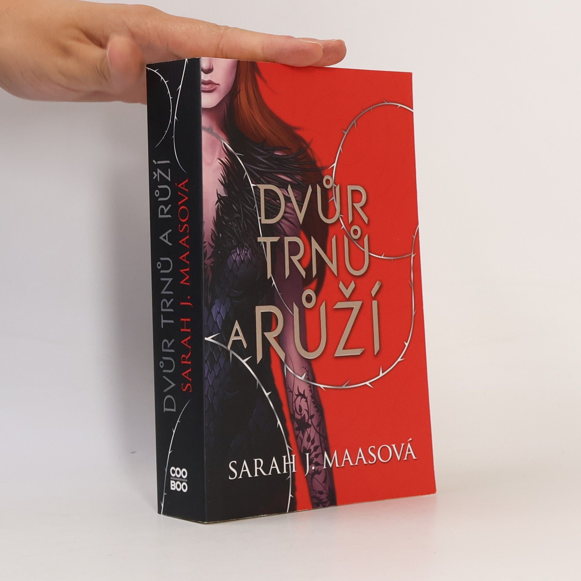 Sarah J. Maas Dvůr trnů a růží