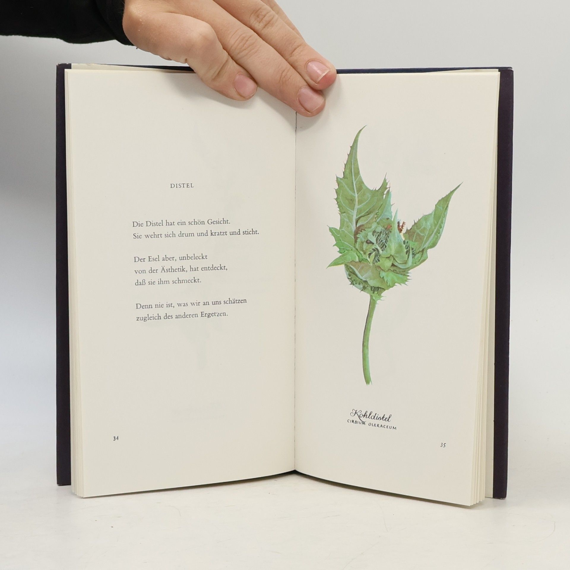 Karl Heinrich Waggerl Heiteres Herbarium