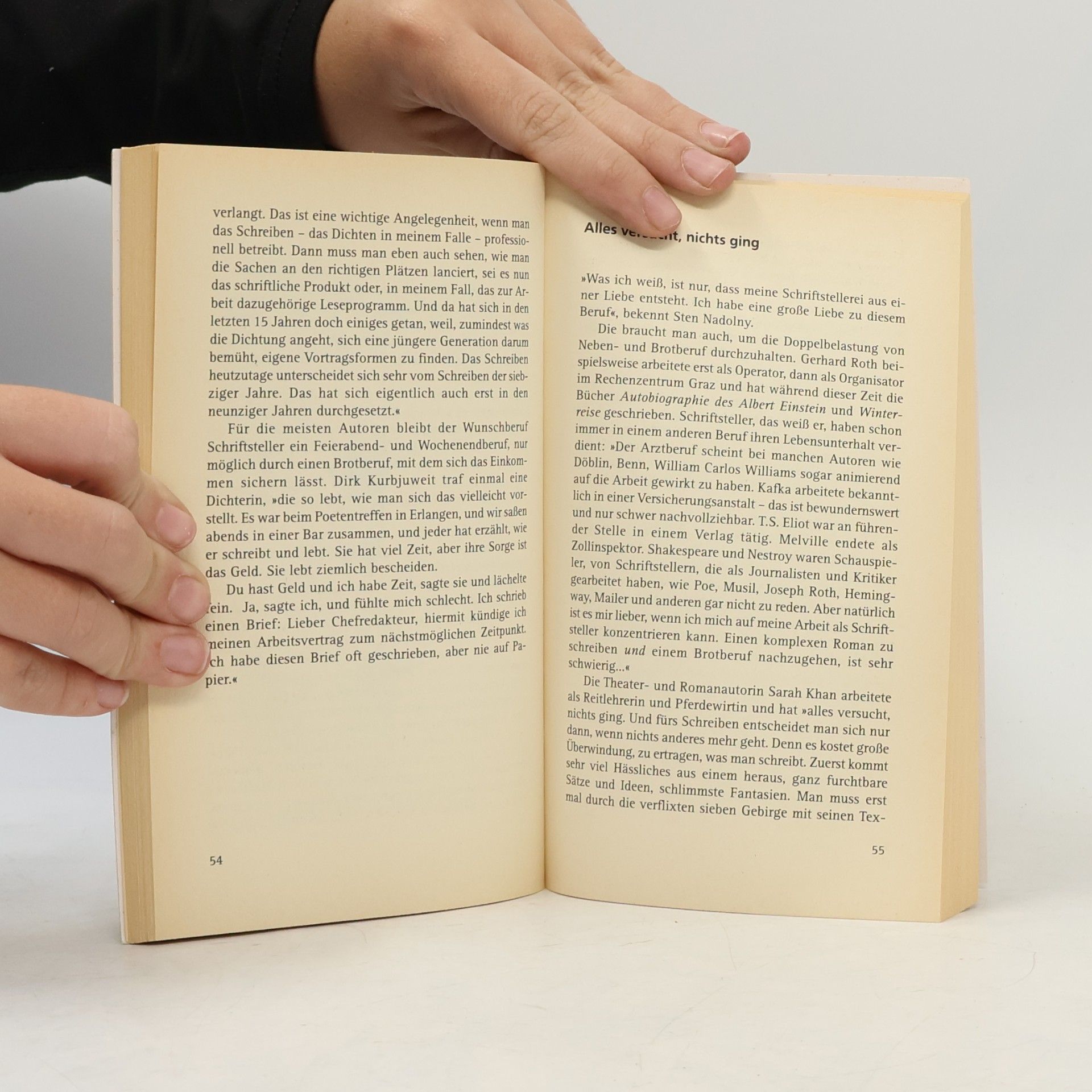 Manfred Plinke Vom Schreiben leben: Schriftsteller
