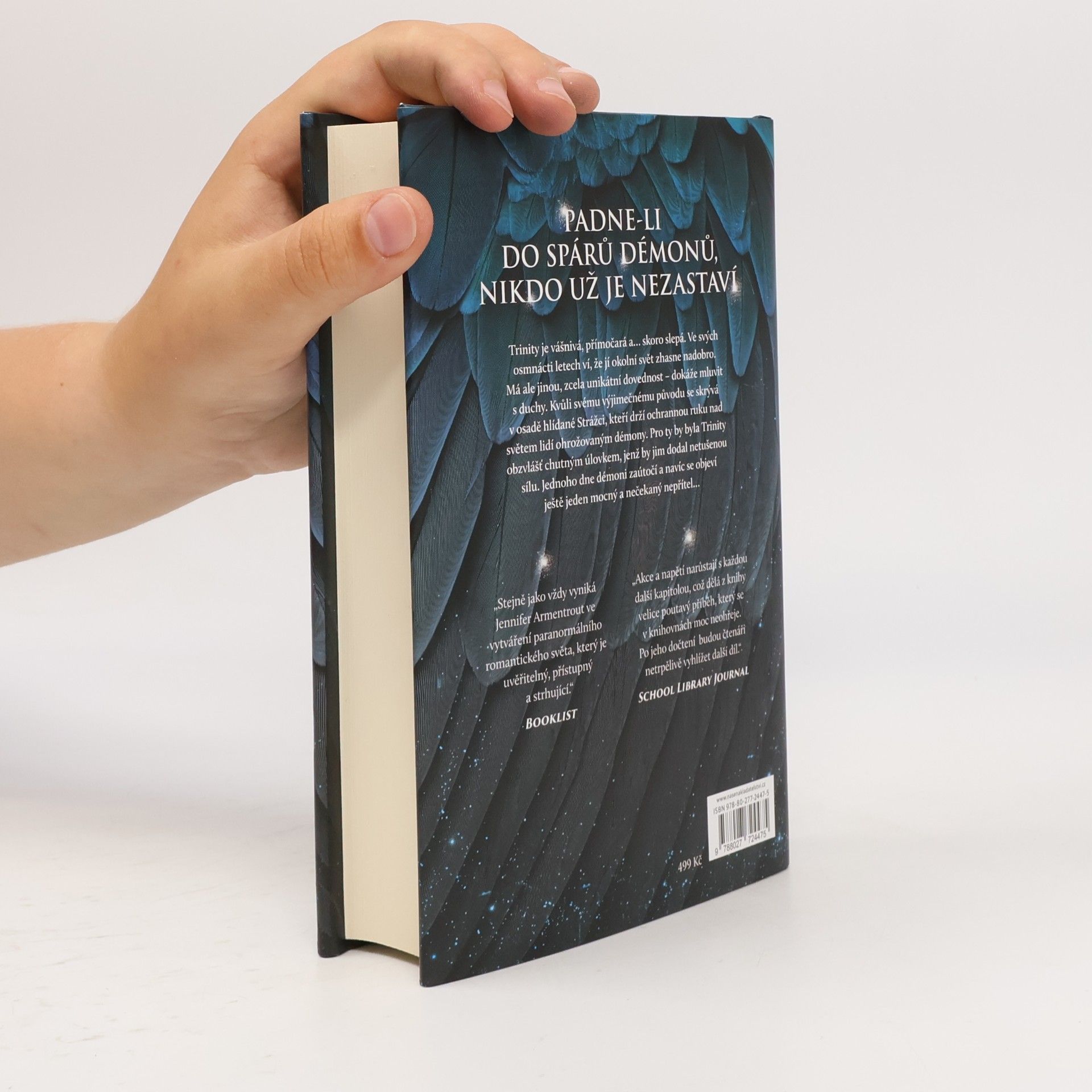 Jennifer L. Armentrout Bouře a běs