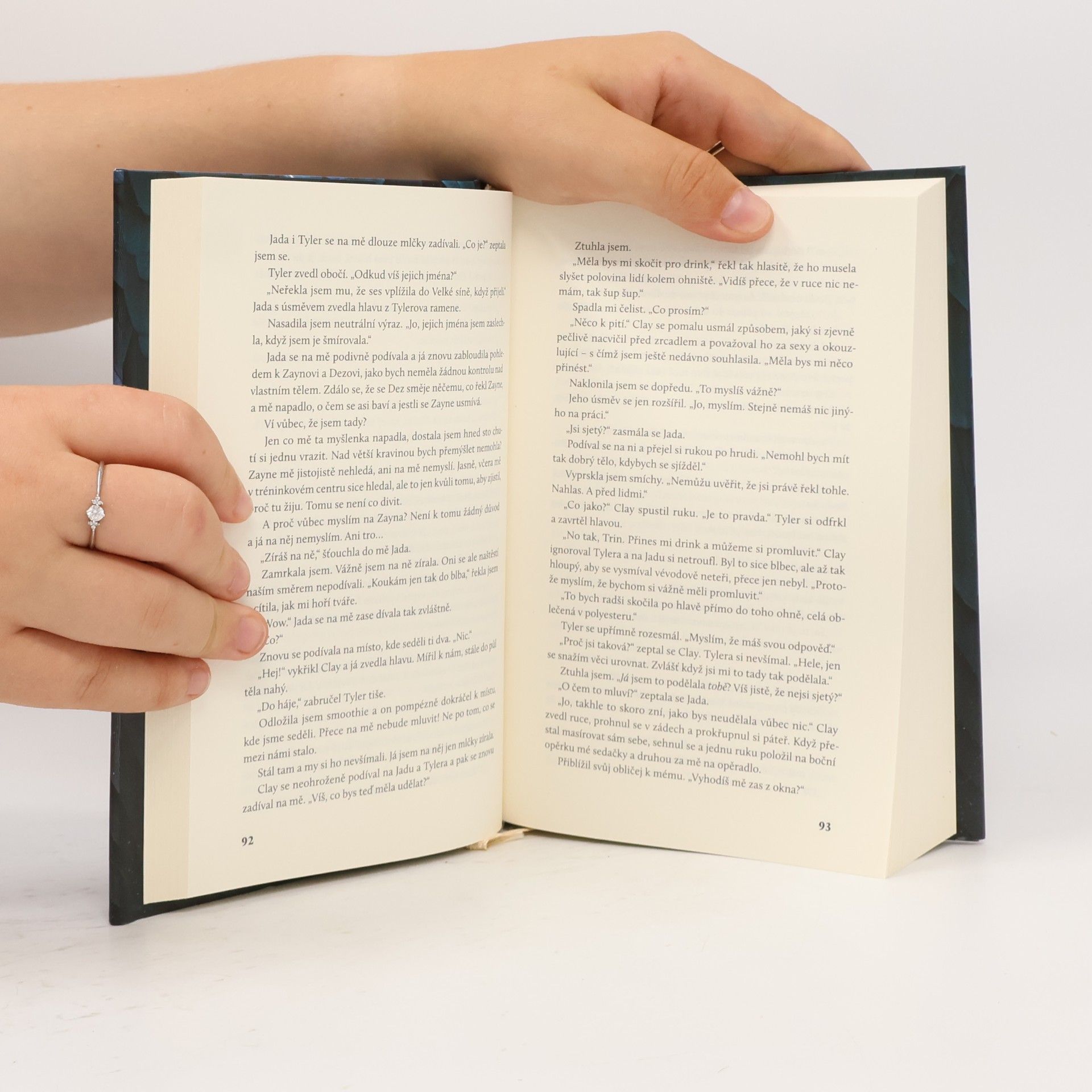 Jennifer L. Armentrout Bouře a běs