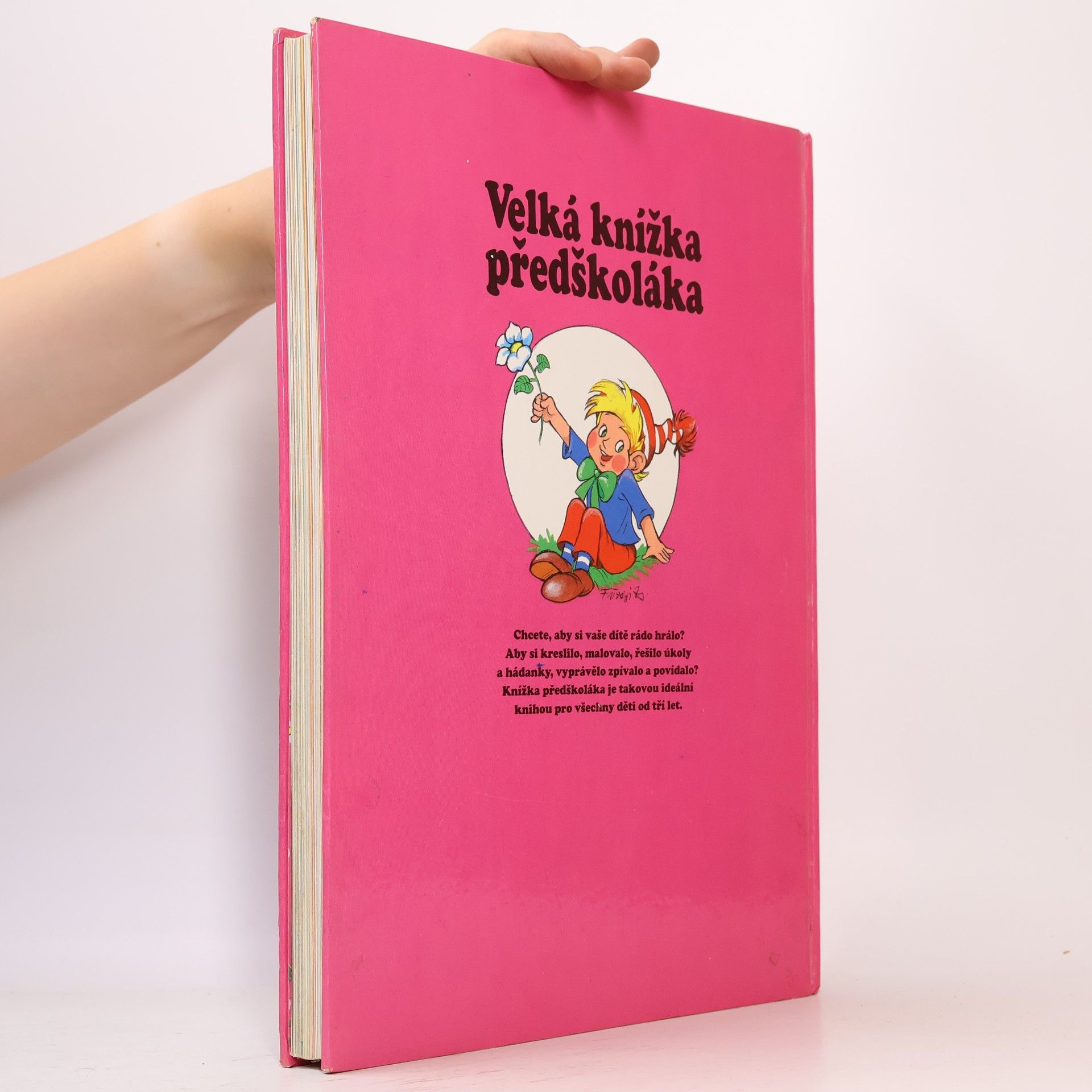 Anikó Csörgő Velká knížka předškoláka - Země divů
