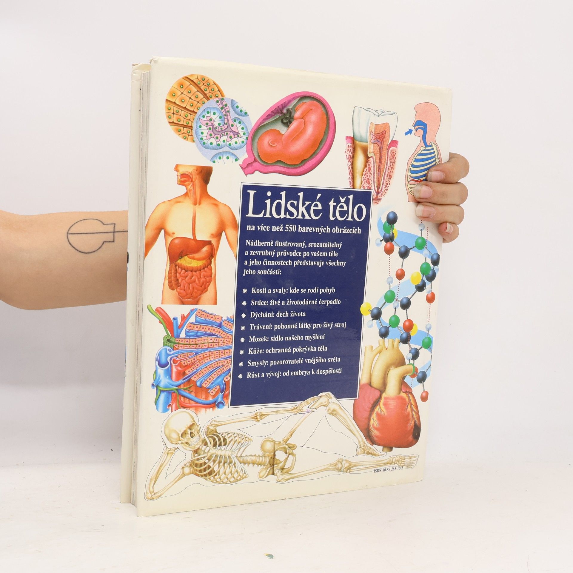 Autorenkollektiv Lidské tělo : Srozumitelný a zevrubný průvodce po strukturách a funkcích lidského organismu