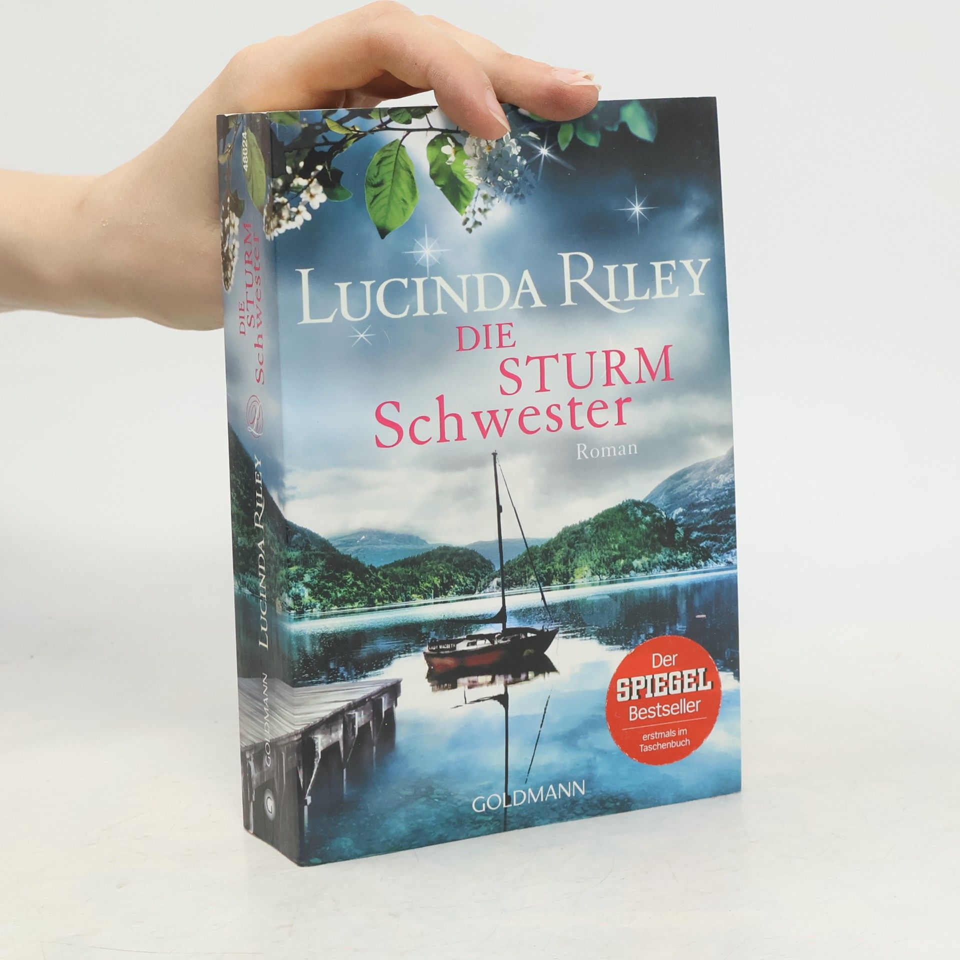 Lucinda Riley Die Sturmschwester