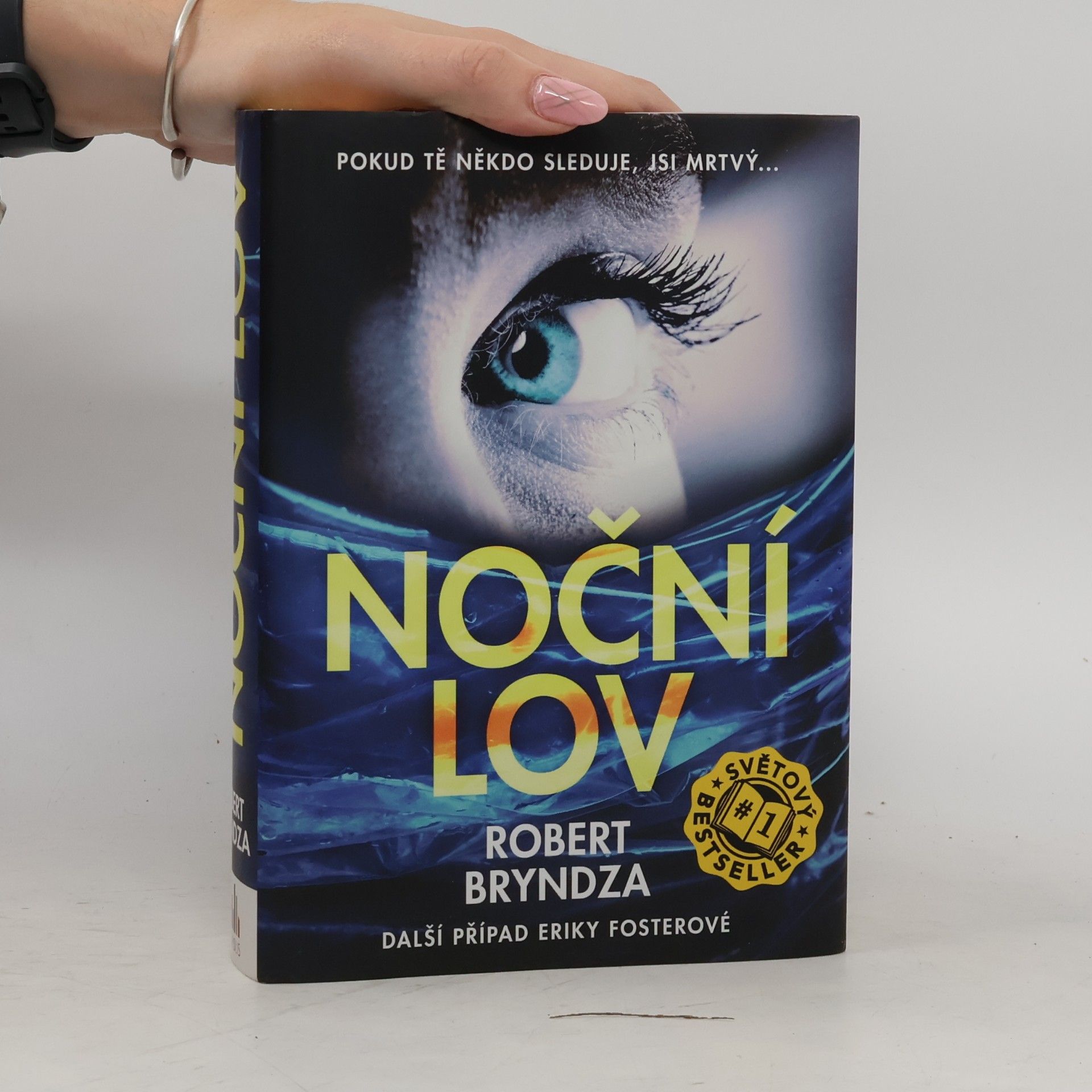 Robert Bryndza Noční lov
