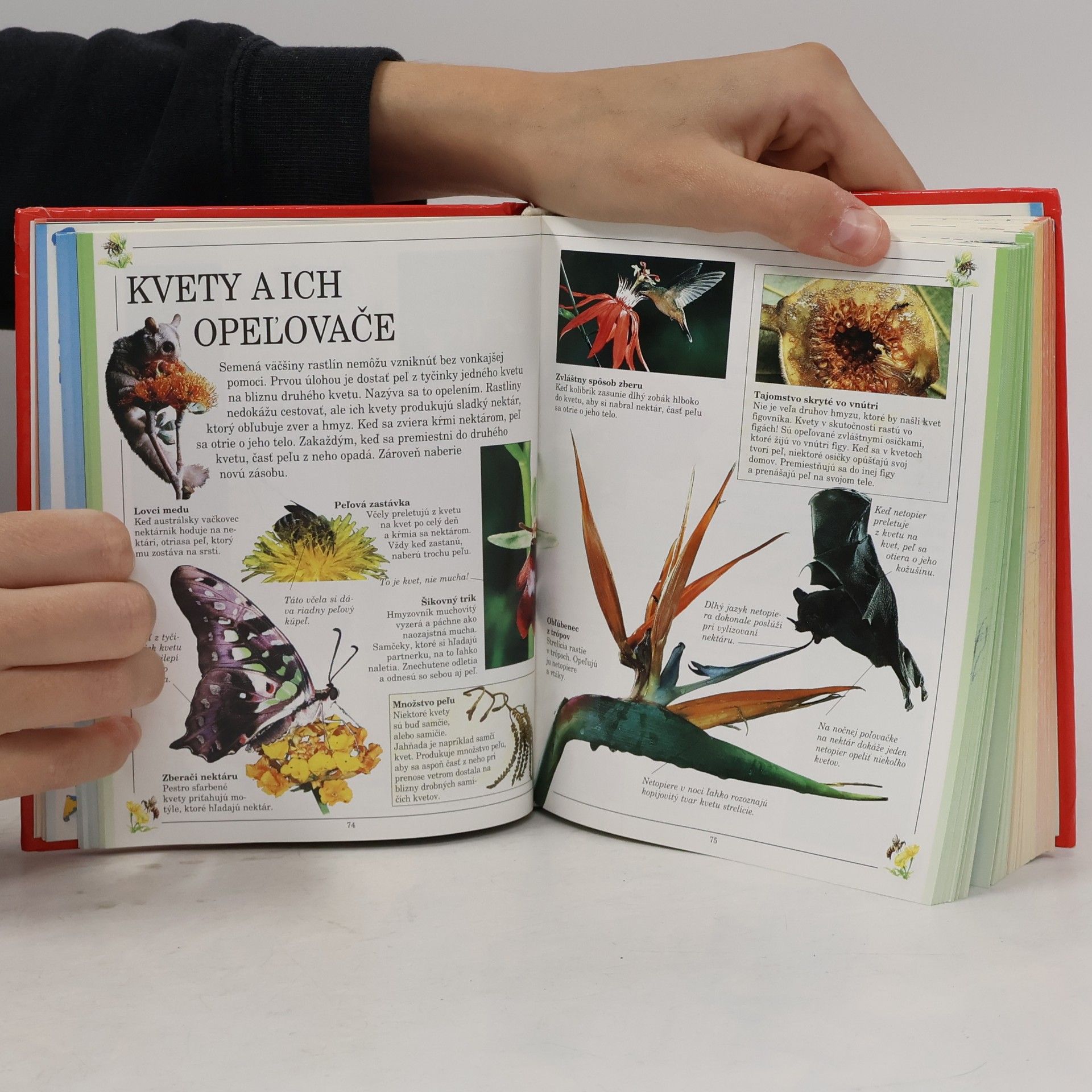 Various authors Detská encyklopédia do vrecka