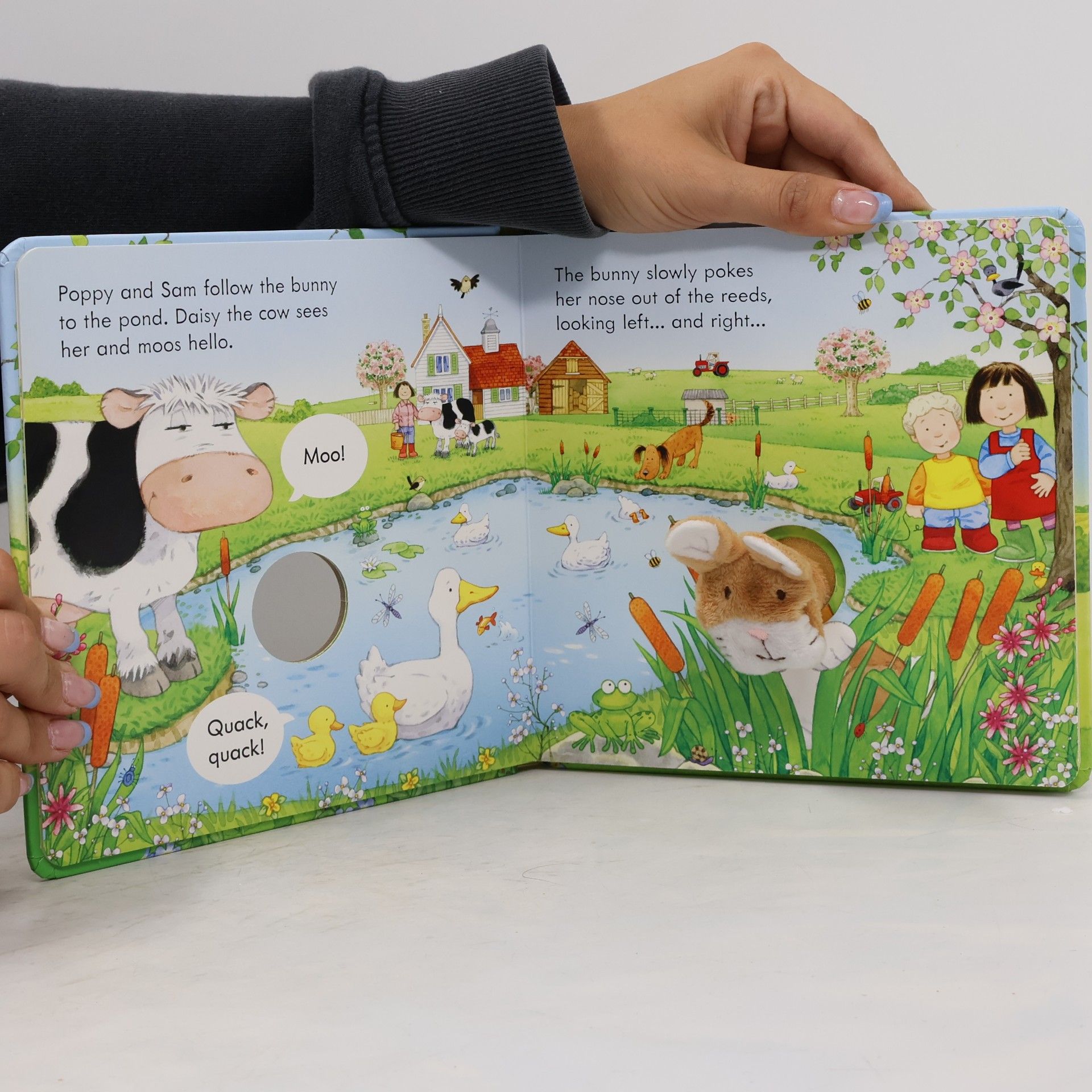 Sam Taplin Usborne Farmyard Tales: Poppy and Sam and the Bunny