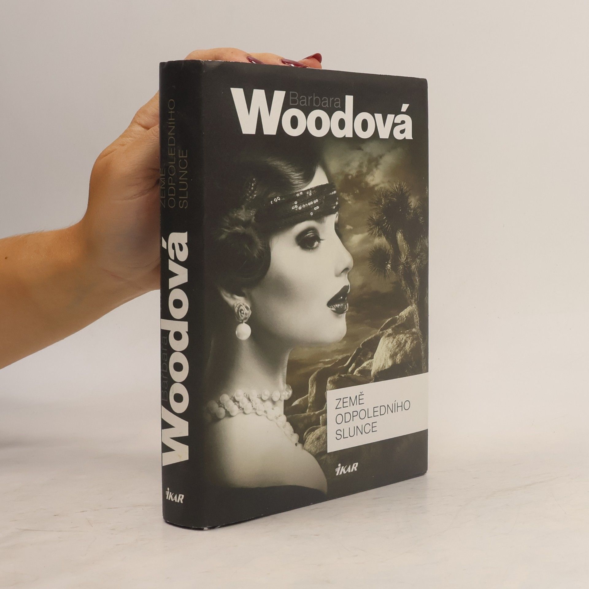 Barbara Wood Země odpoledního slunce