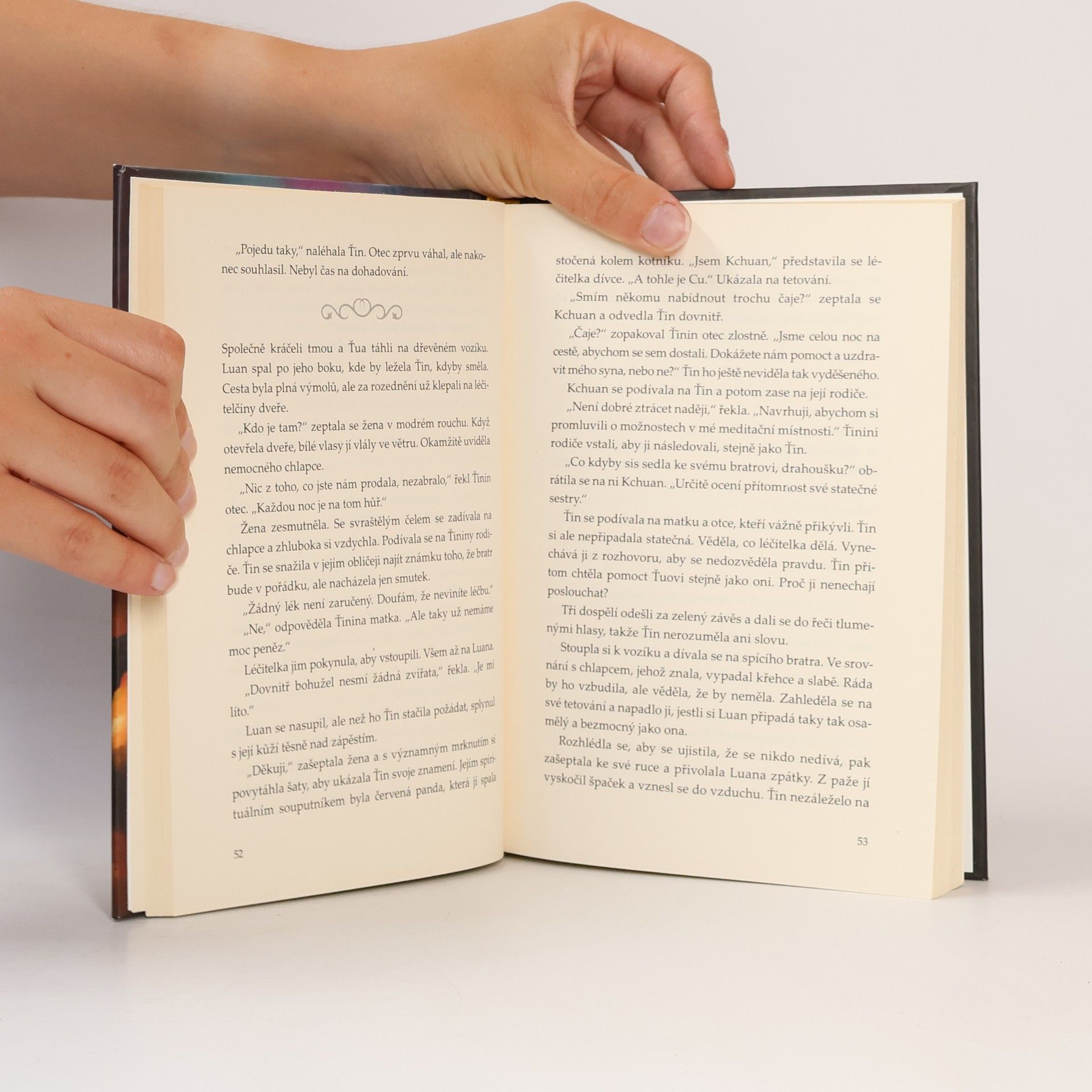 Brandon Mull Příběhy Velkých strážců