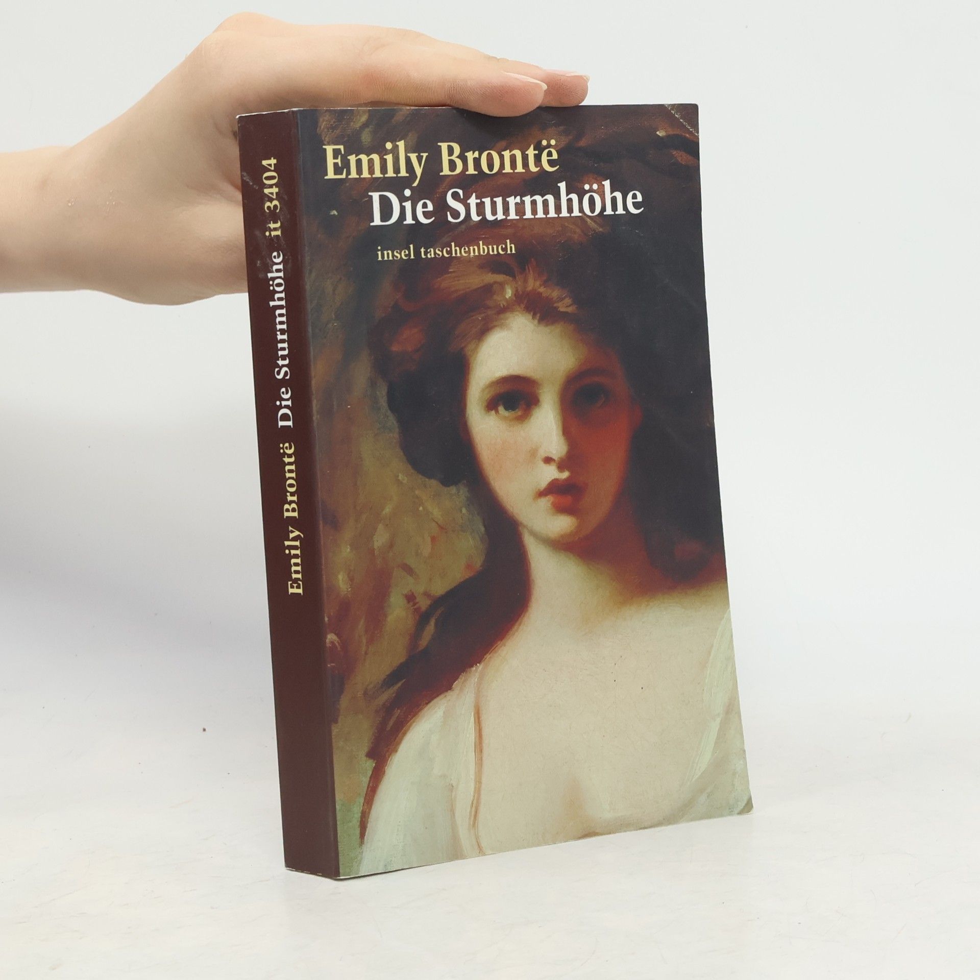 Emily Brontë Die Sturmhöhe