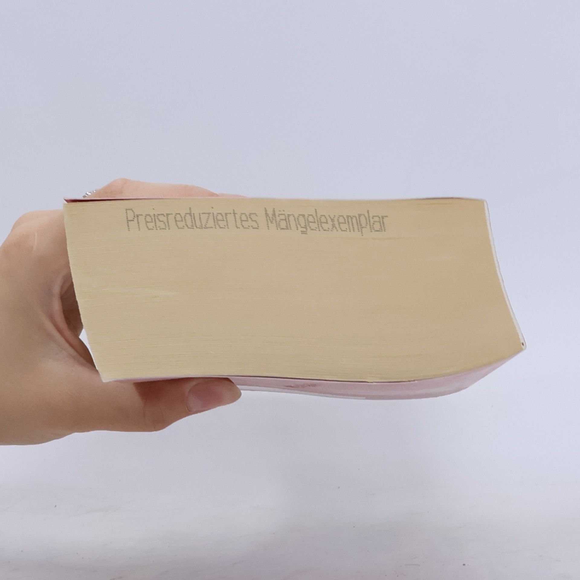 Iny Lorentz Feuertochter