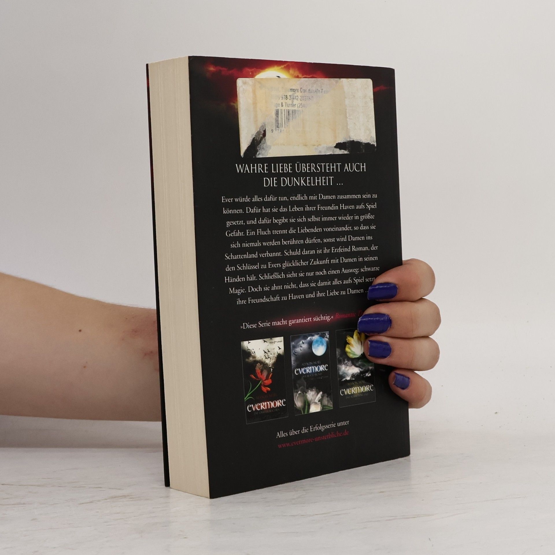 Alyson Noël Evermore: Das dunkle Feuer