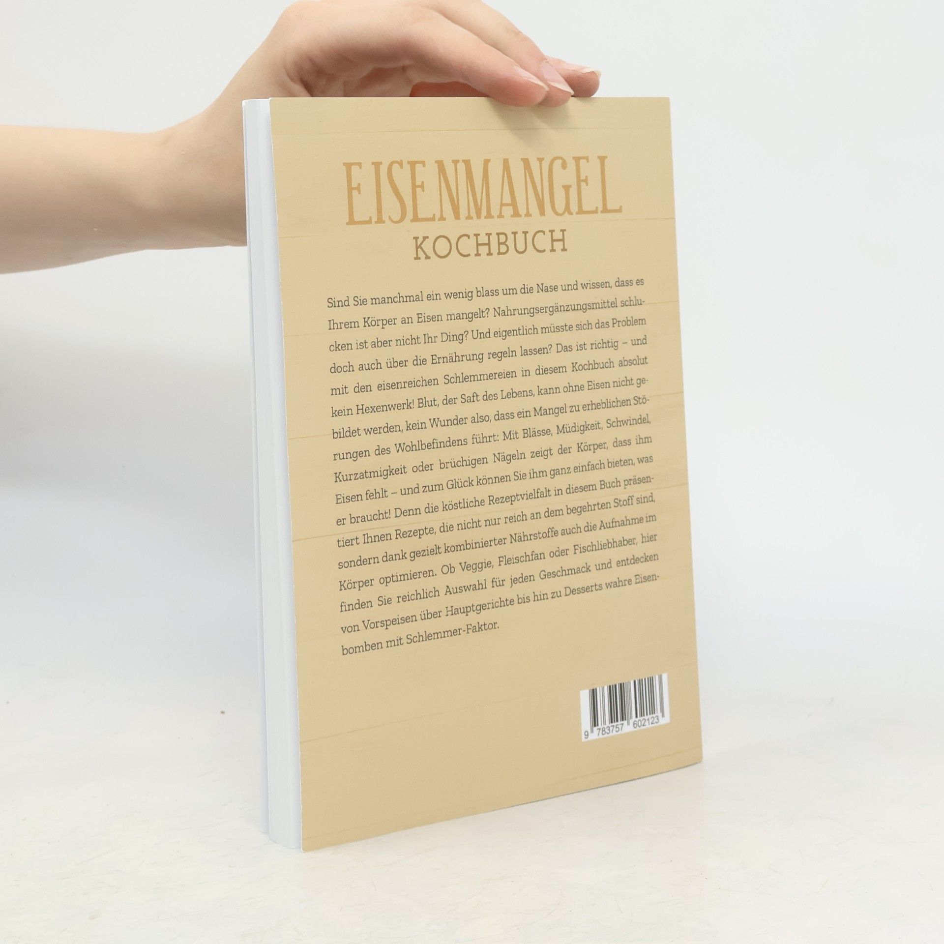 Ann-Katrin Remmers Eisenmangel Kochbuch