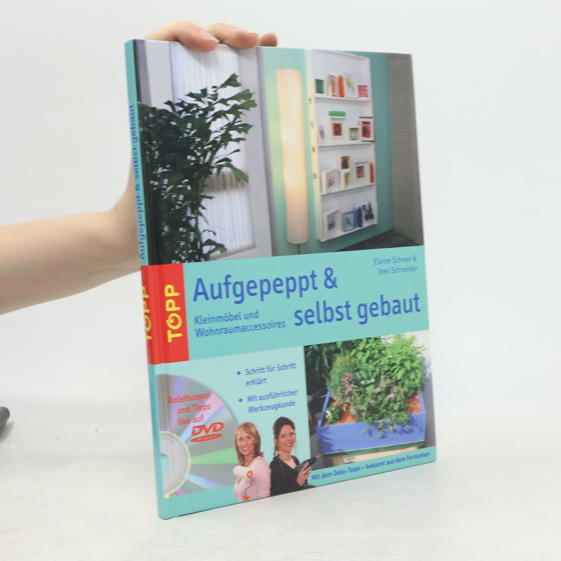 Elaine Schnee Aufgepeppt & selbst gebaut