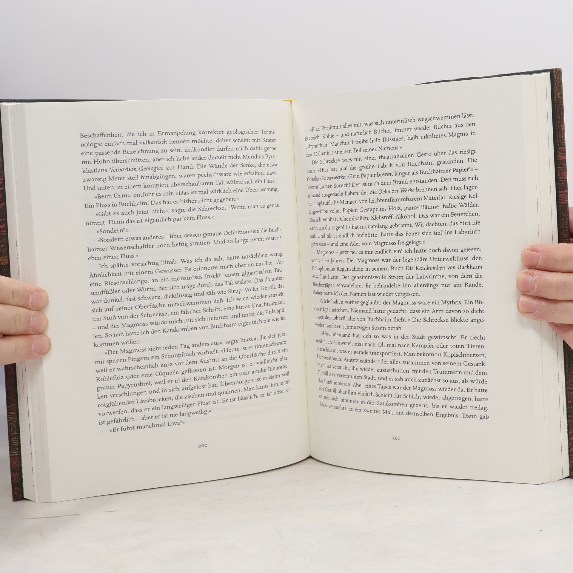 Walter Moers Das Labyrinth der Träumenden Bücher