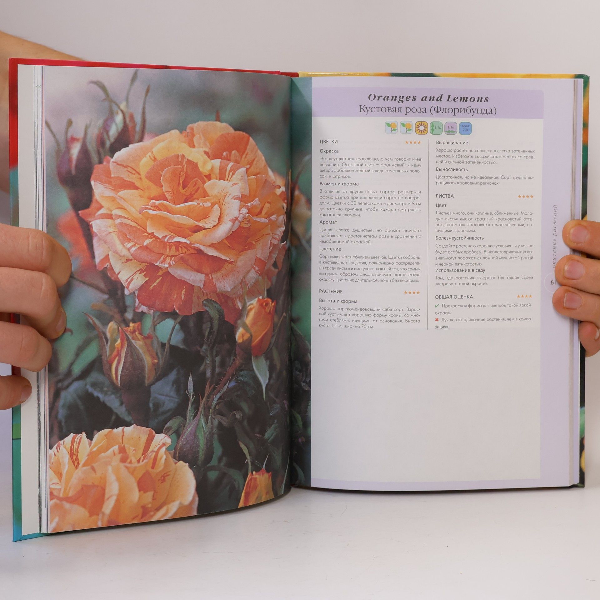 Filip Kharkness Roses. About 100 of the best species and varieties / Rozy. Okolo 100 luchshikh vidov i sortov