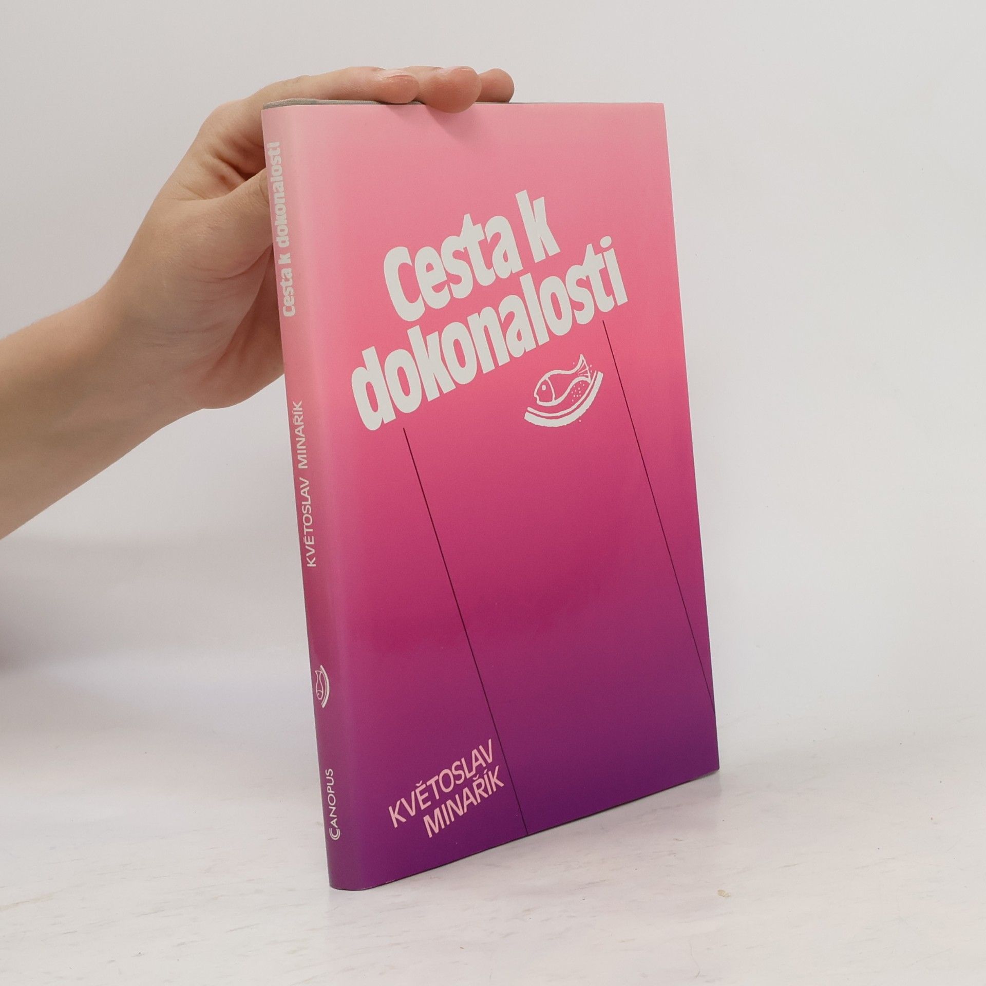 Kvetoslav Minarik Cesta k dokonalosti: Praktická psychologie