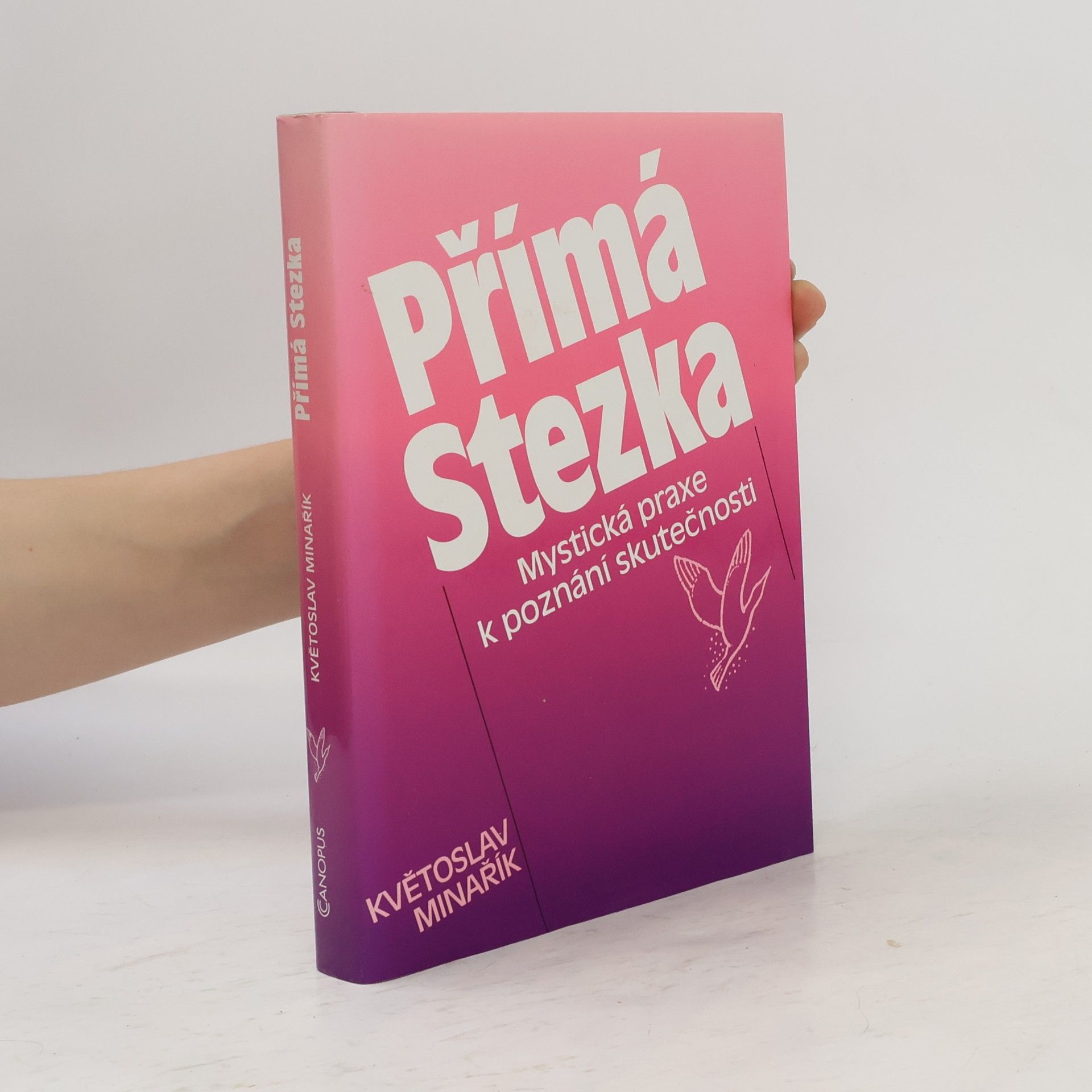 Kvetoslav Minarik Přímá stezka