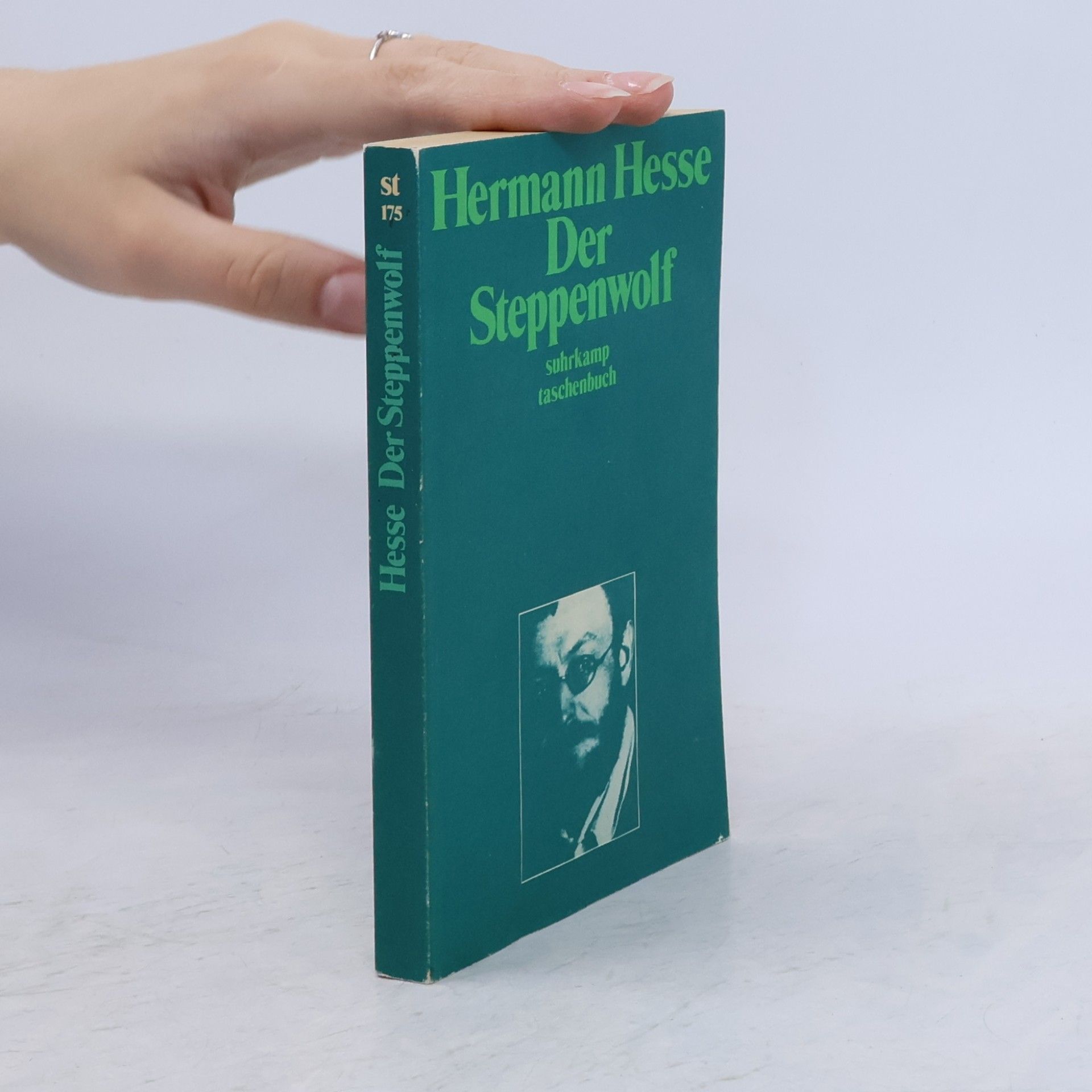 Hermann Hesse Der Steppenwolf