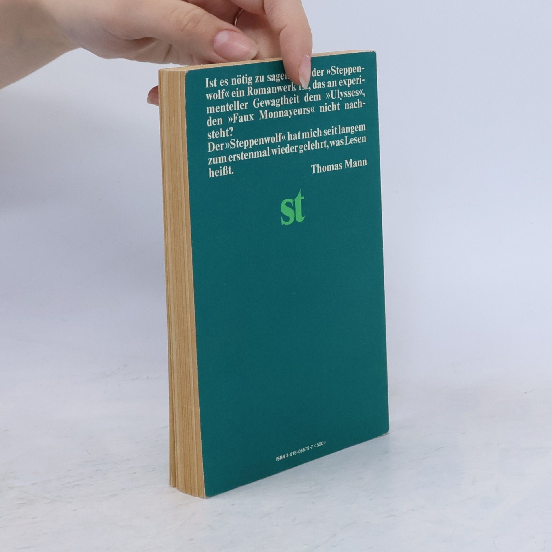 Hermann Hesse Der Steppenwolf