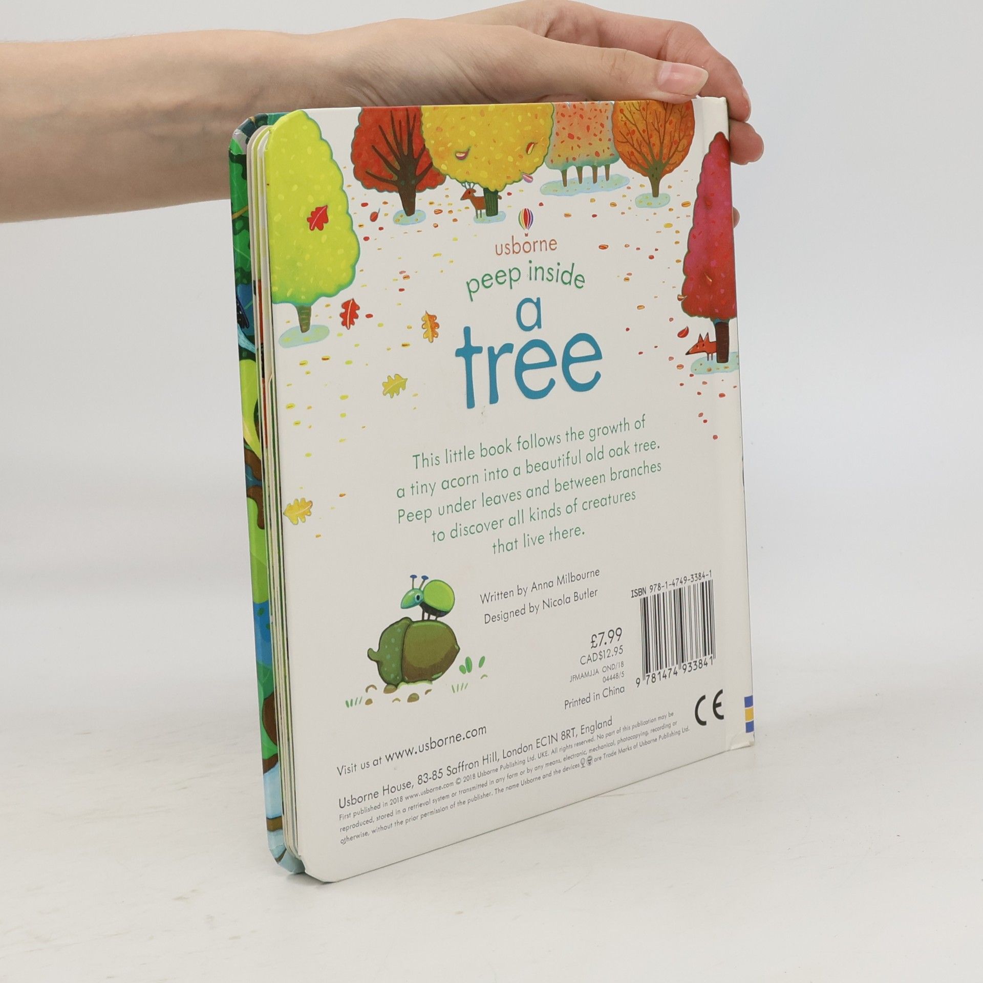 Anna Milbourne Peep inside a tree