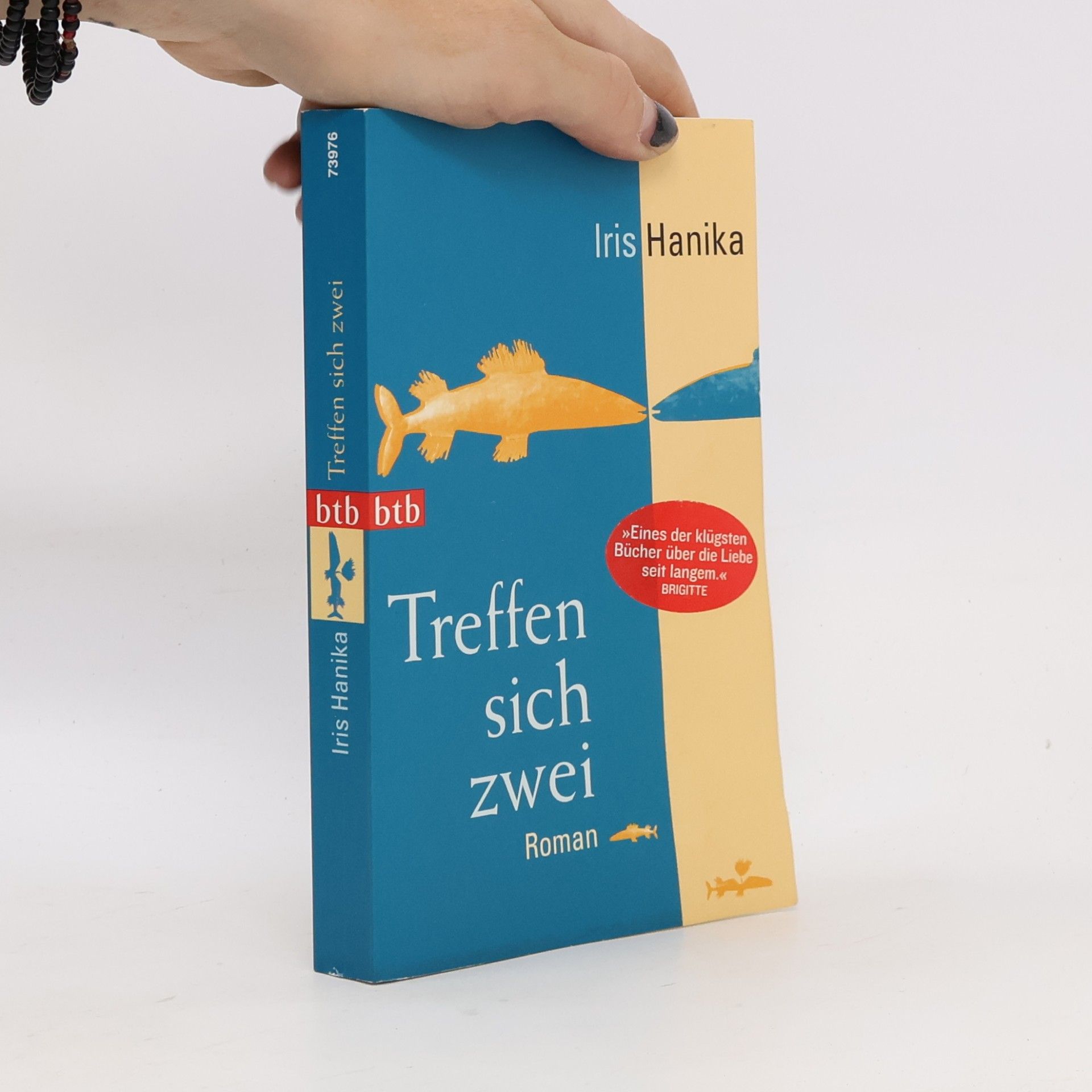 Iris Hanika Treffen sich zwei