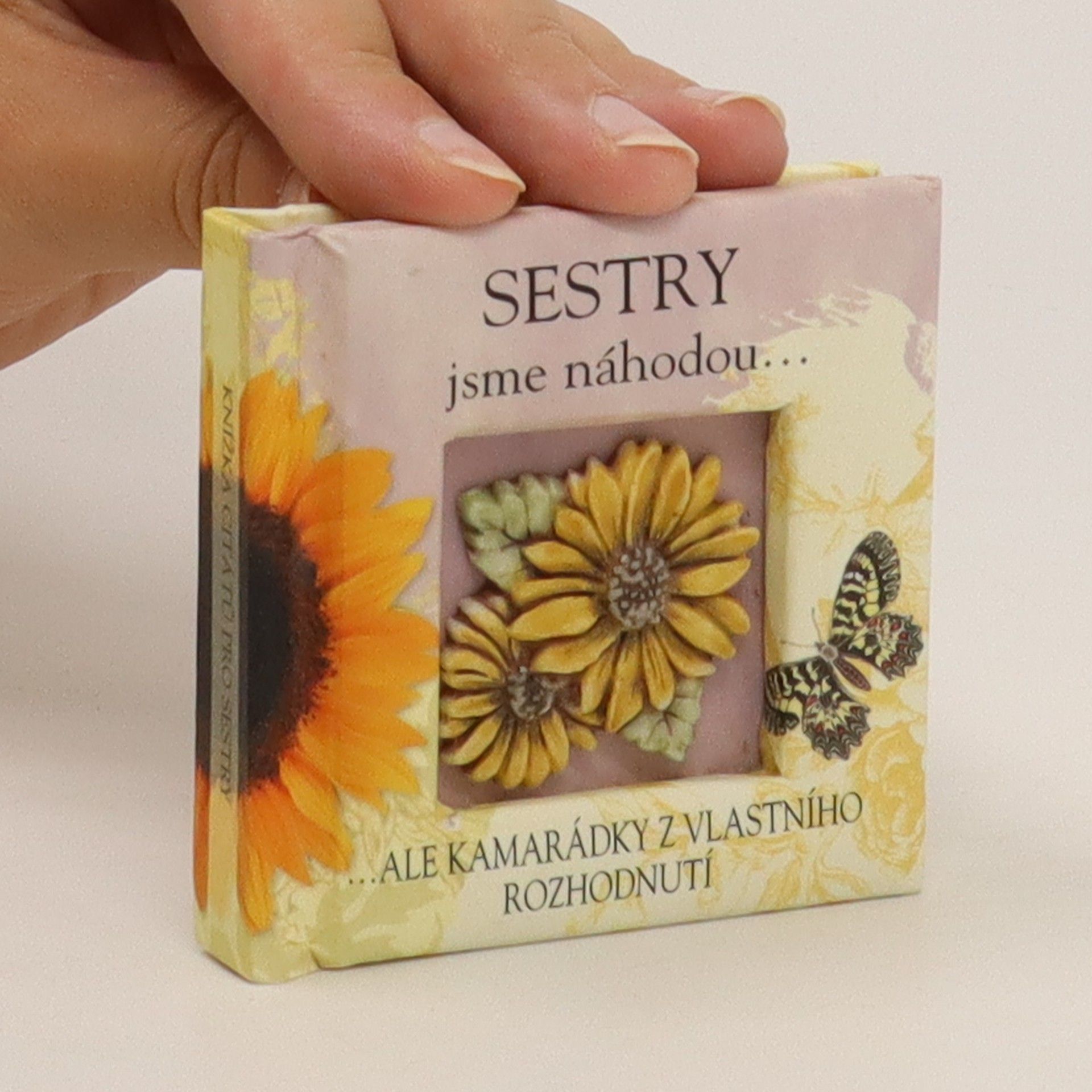 Autorenkollektiv Sestry jsme náhodou...ale kamarádky z vlastního rozhodnutí