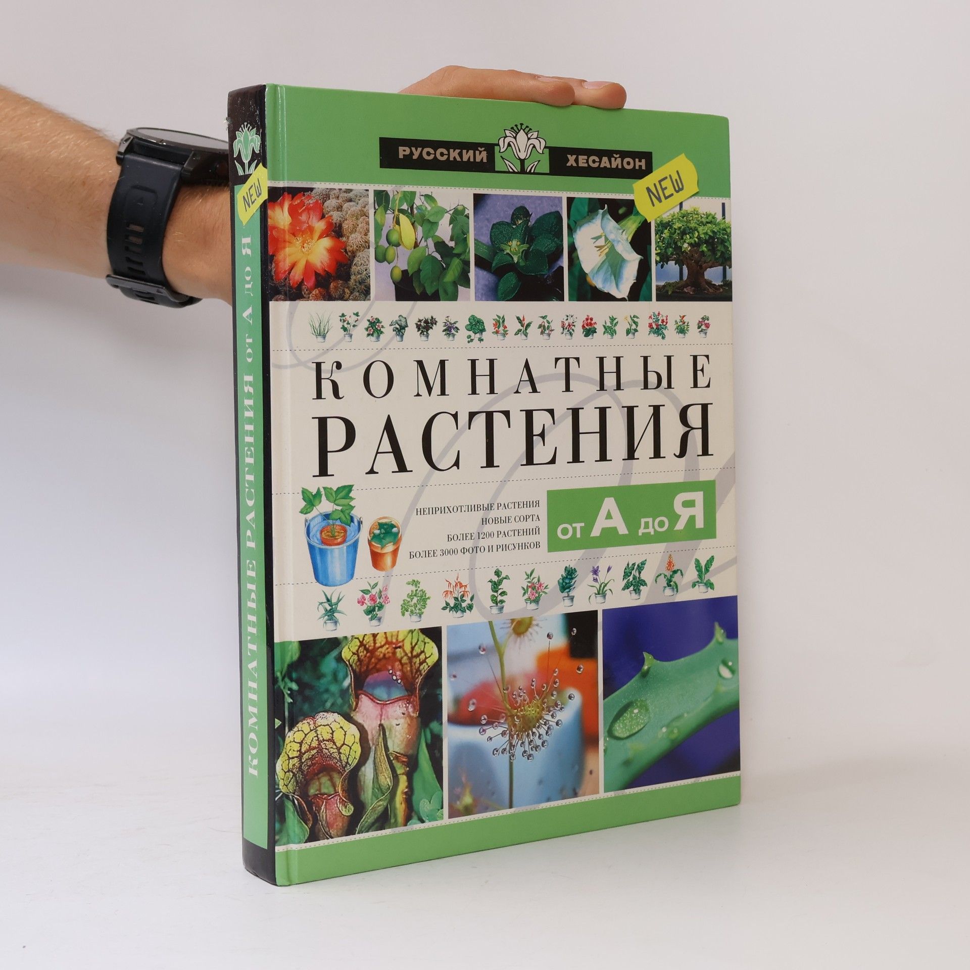 Olʹga Vitalʹevna Berdnikova Komnatnye rastenii︠a︡ ot A do I︠A︡