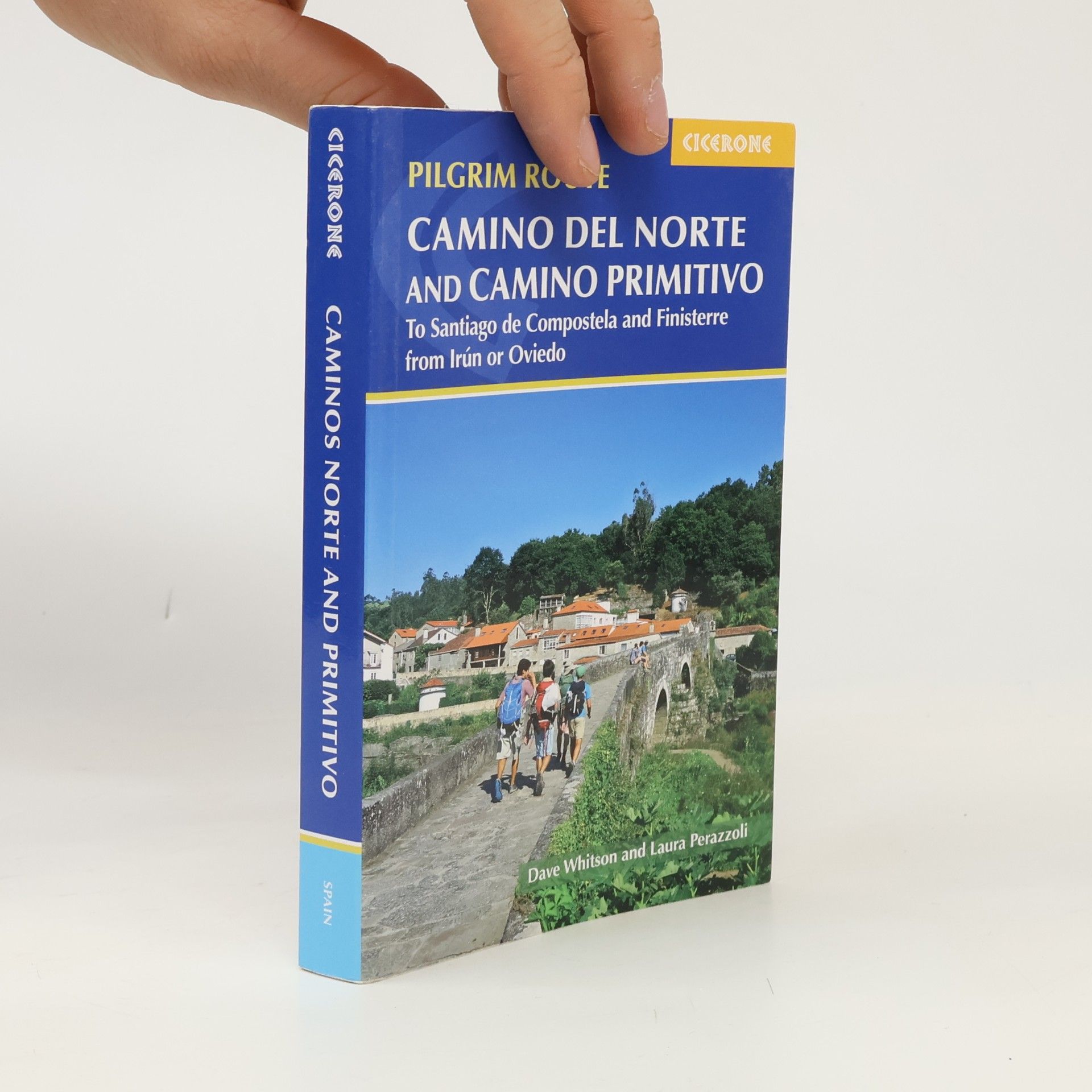 Dave Whitson The Camino del Norte and Camino Primitivo