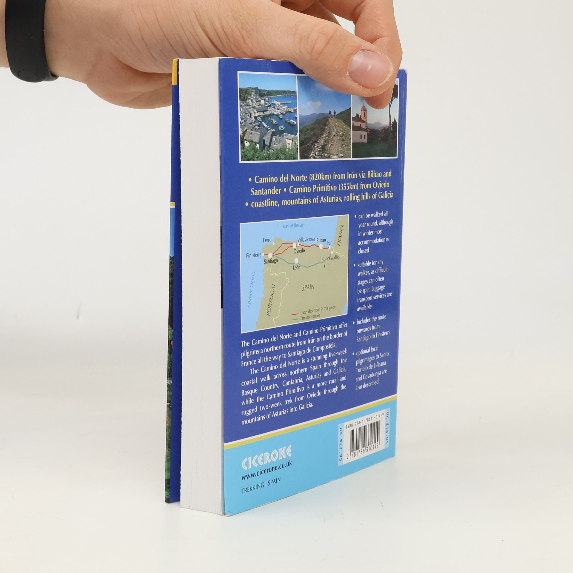 Dave Whitson The Camino del Norte and Camino Primitivo