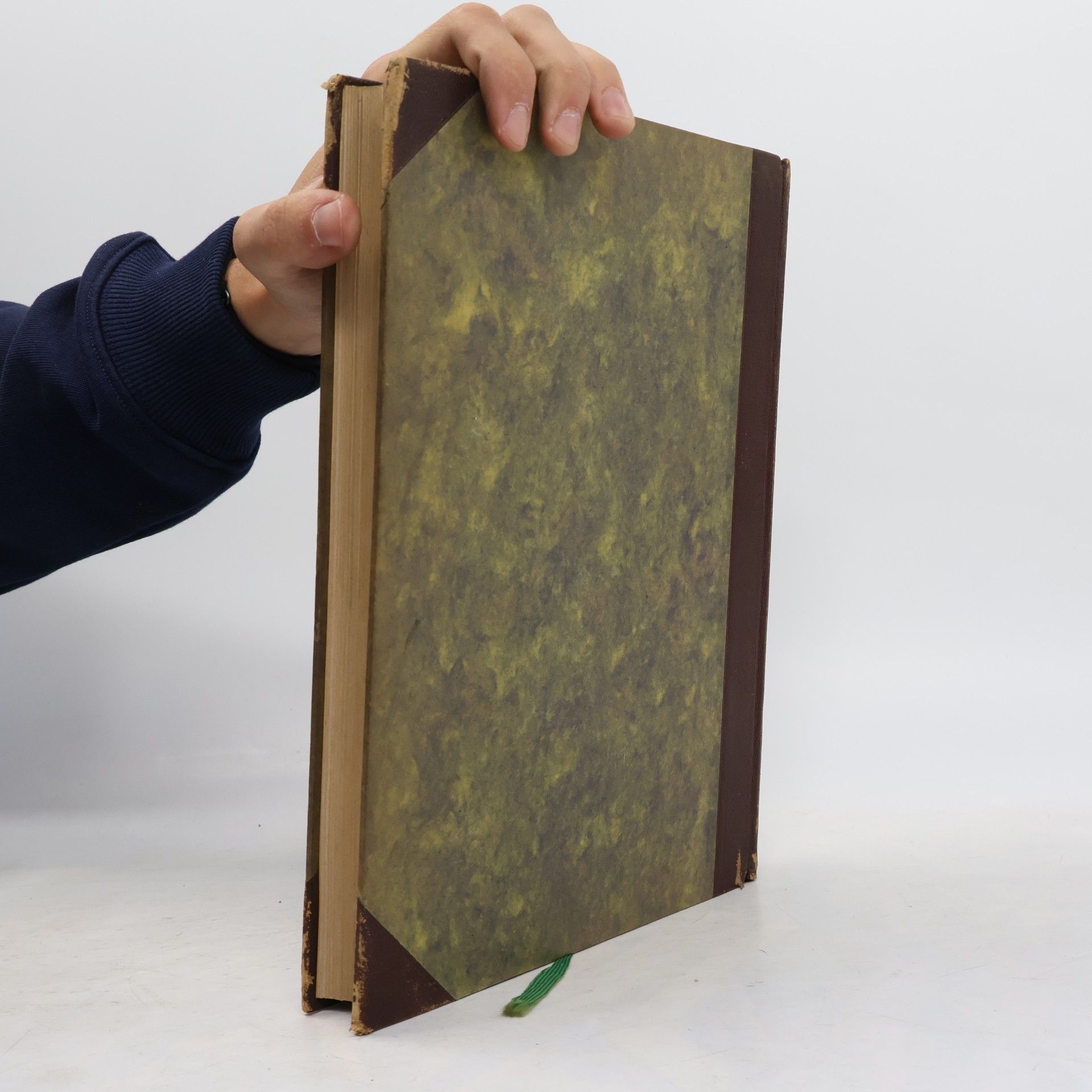 Autorenkollektiv Die Kunst: Monatshefte für freie und angewandte Kunst 65