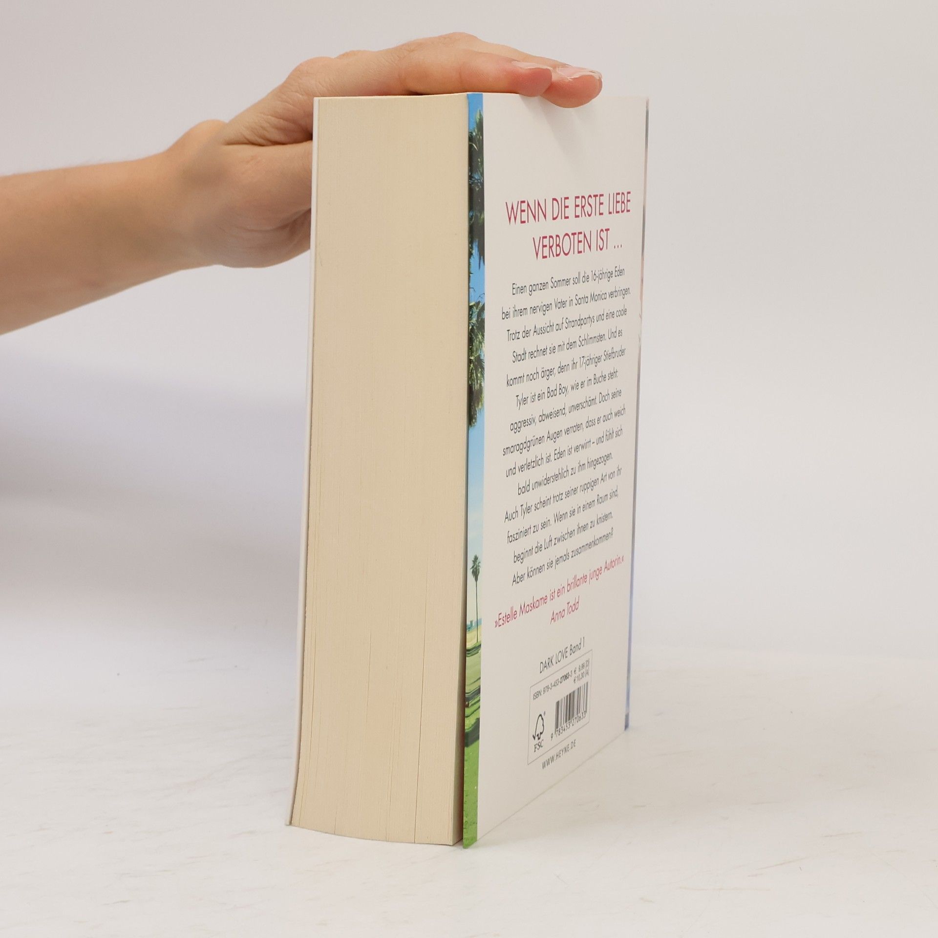 Estelle Maskame Dark Love: Dich darf ich nicht lieben